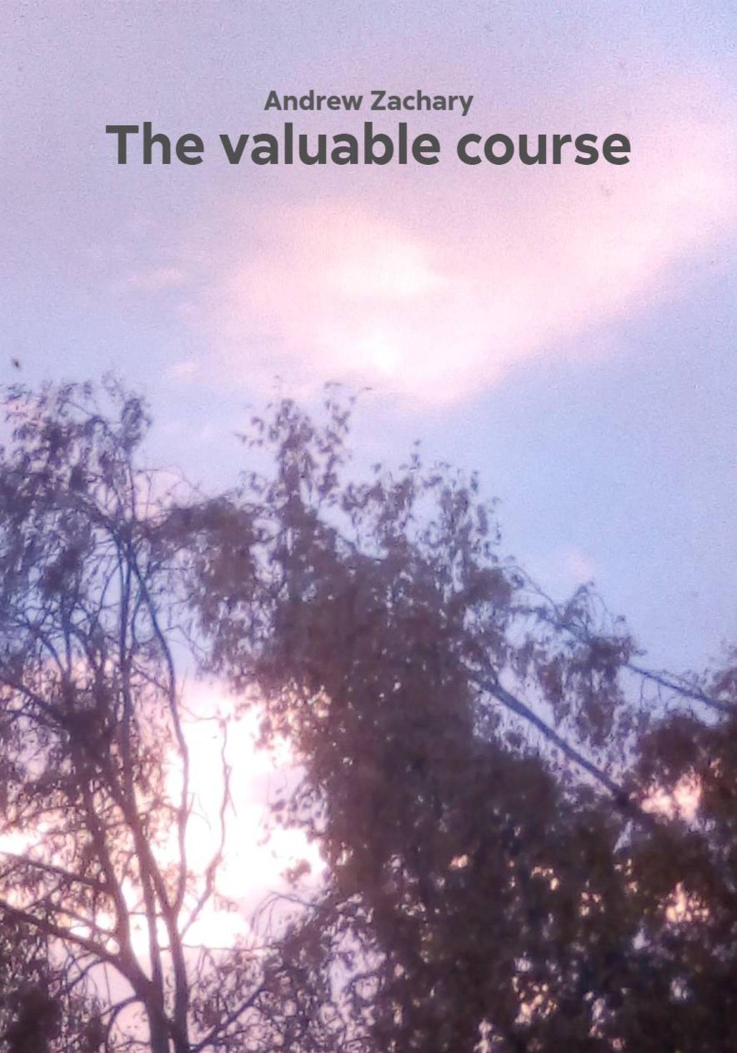 Обложка книги «The valuable course»