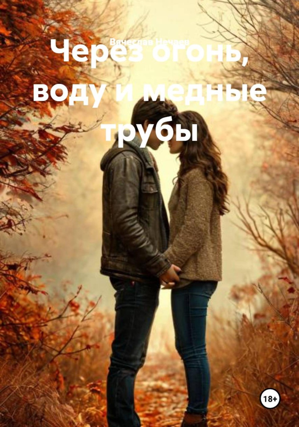 Обложка книги «Через огонь, воду и медные трубы»