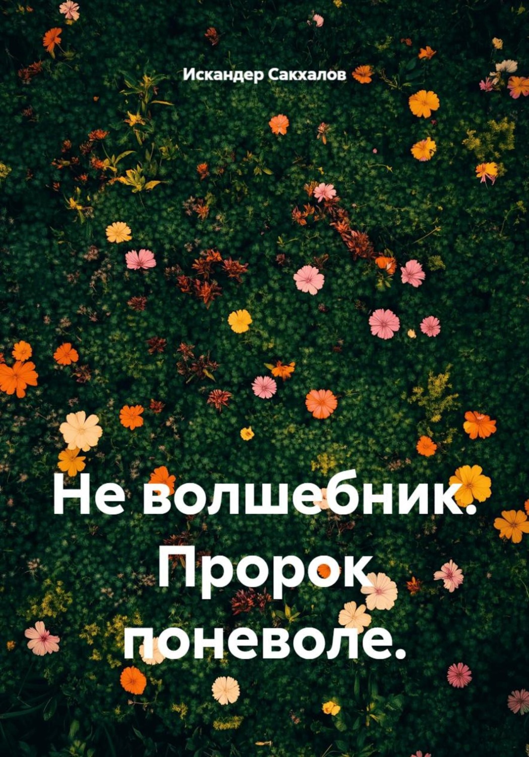 Обложка книги «Не волшебник. Пророк поневоле»