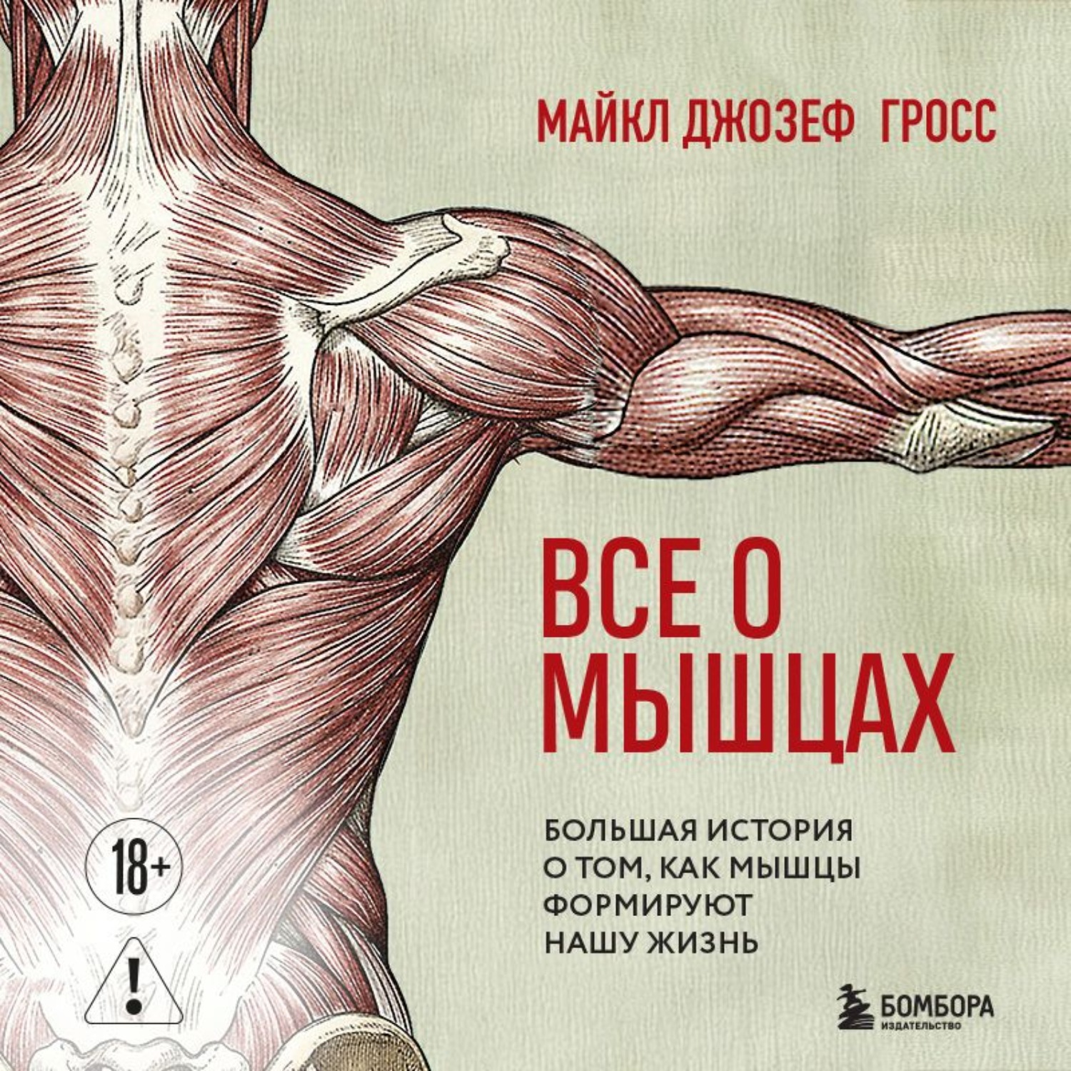 Обложка книги «Все о мышцах. Большая история о том, как мышцы формируют нашу жизнь»