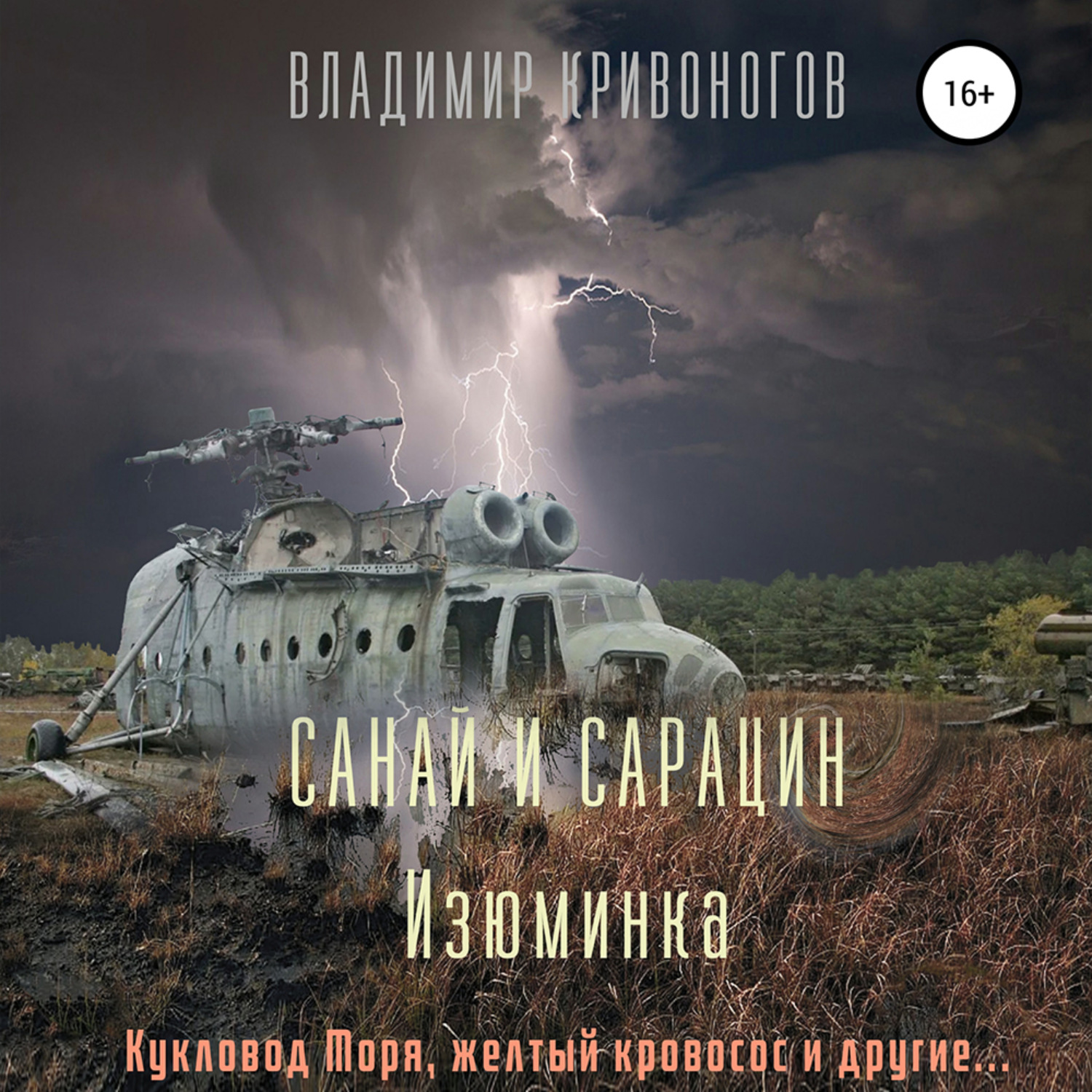 Обложка книги «Санай и Сарацин. Изюминка»