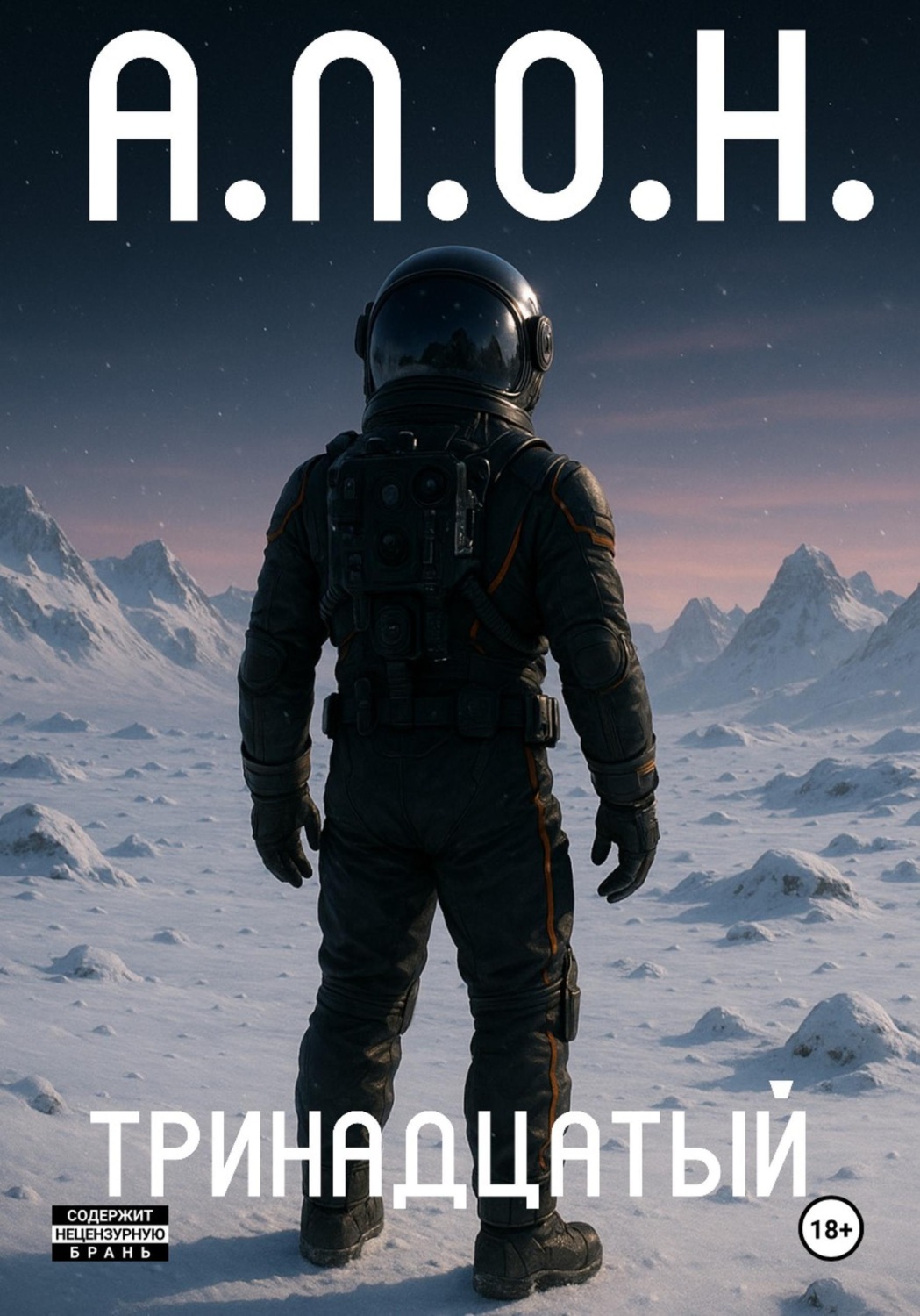 Обложка книги «Тринадцатый»