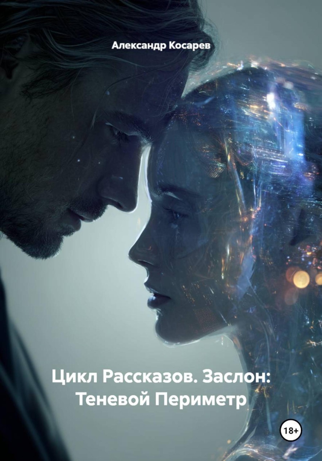 Обложка книги «Цикл Рассказов. Заслон: Теневой Периметр»