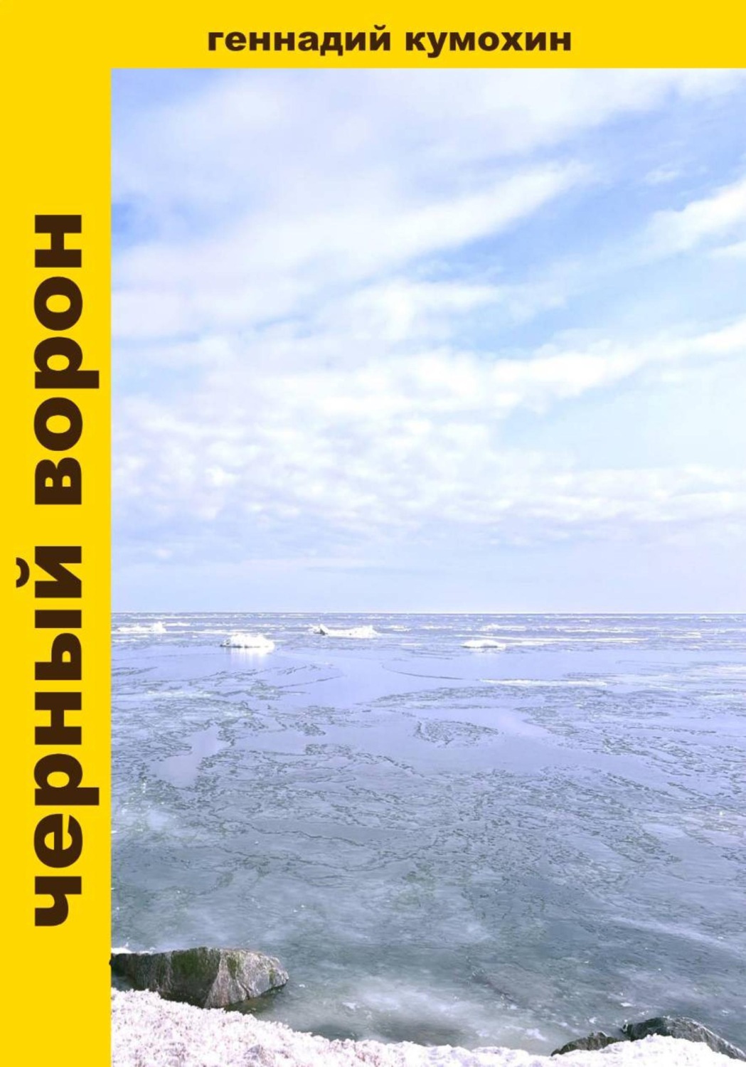 Обложка книги «Черный ворон»