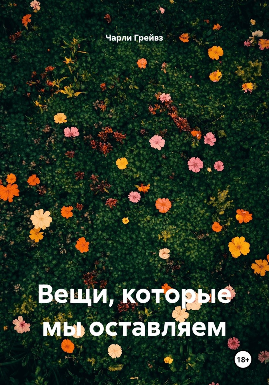 Обложка книги «Вещи, которые мы оставляем»