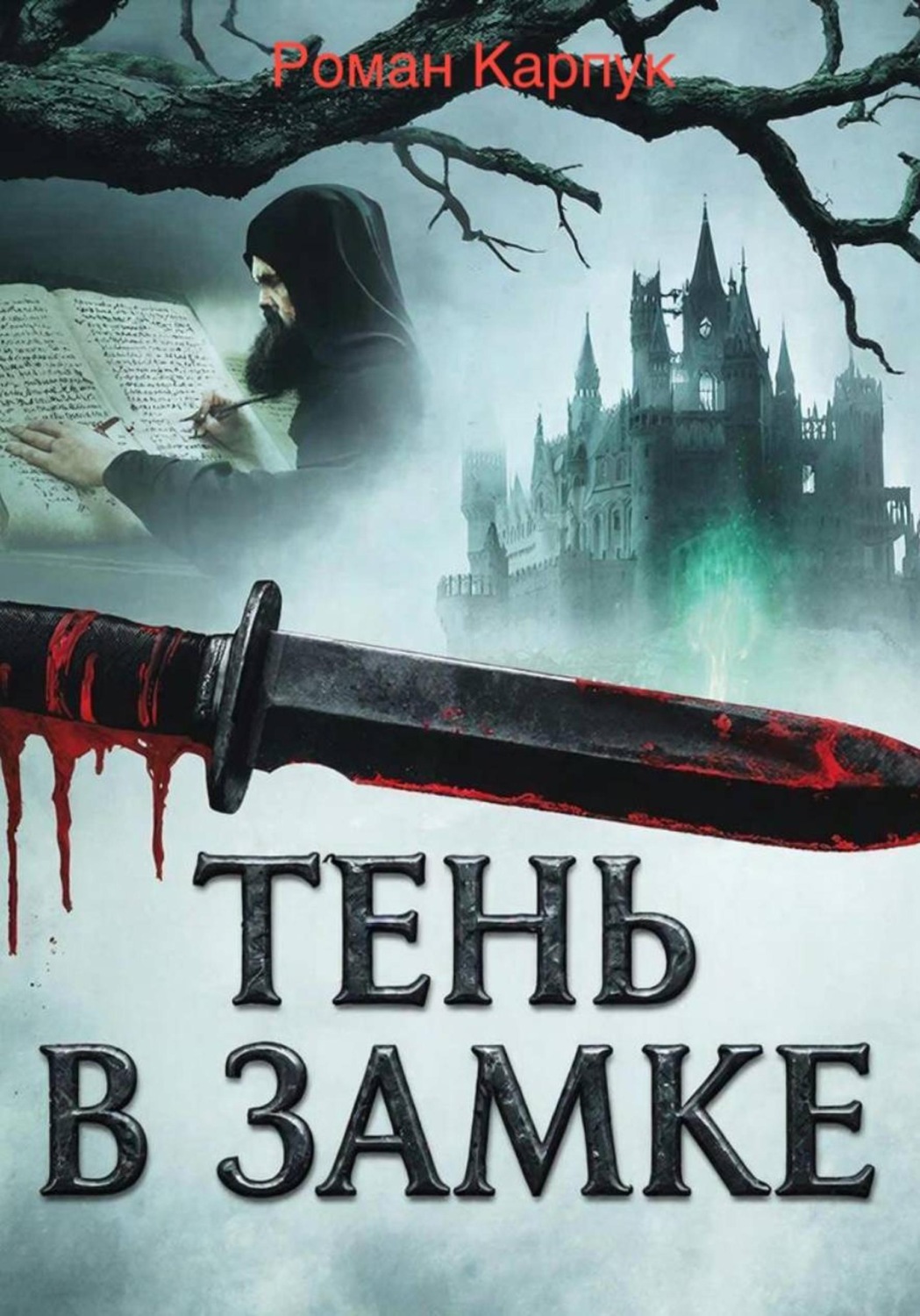 Обложка книги «Тень в замке»