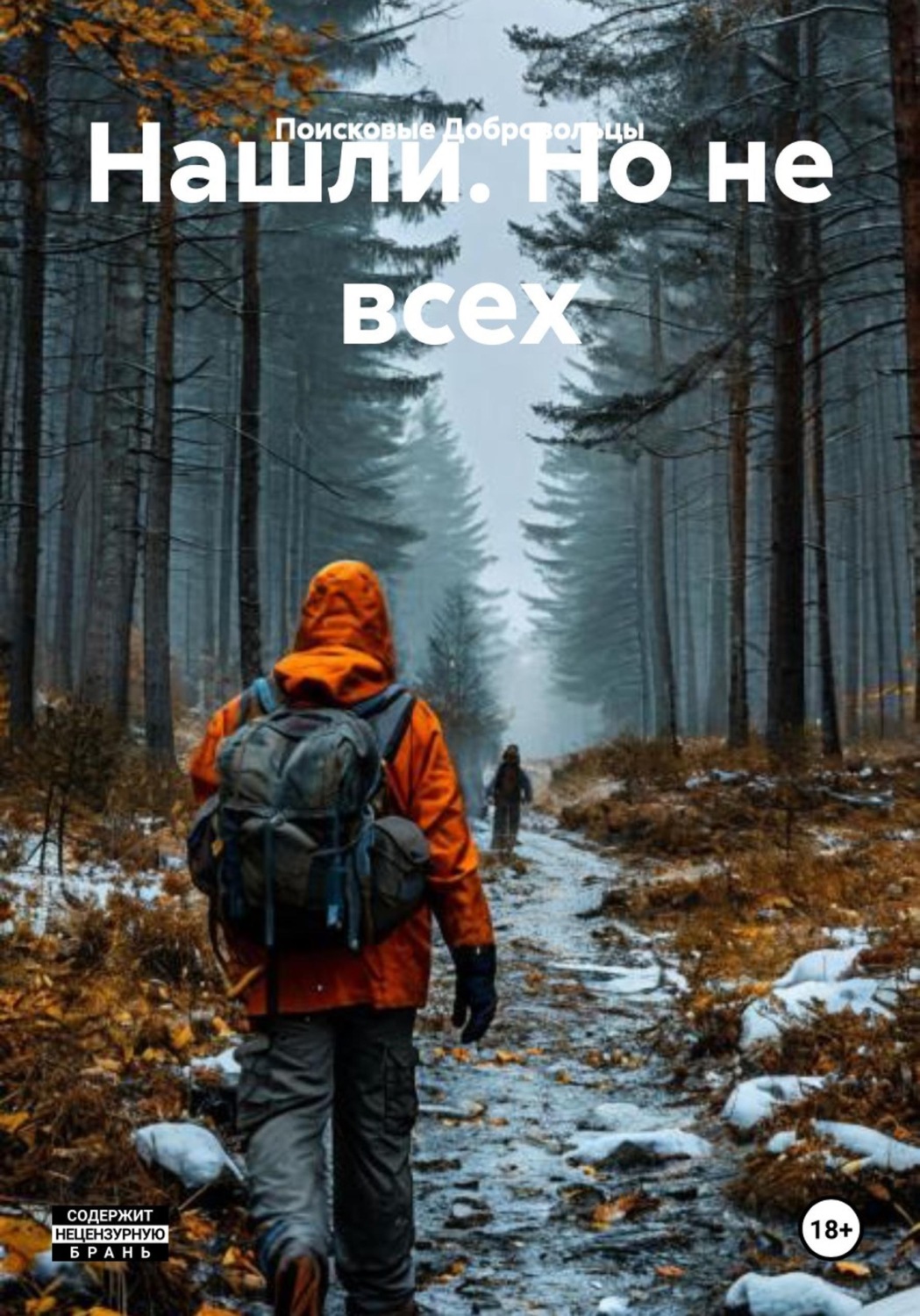 Обложка книги «Нашли. Но не всех»
