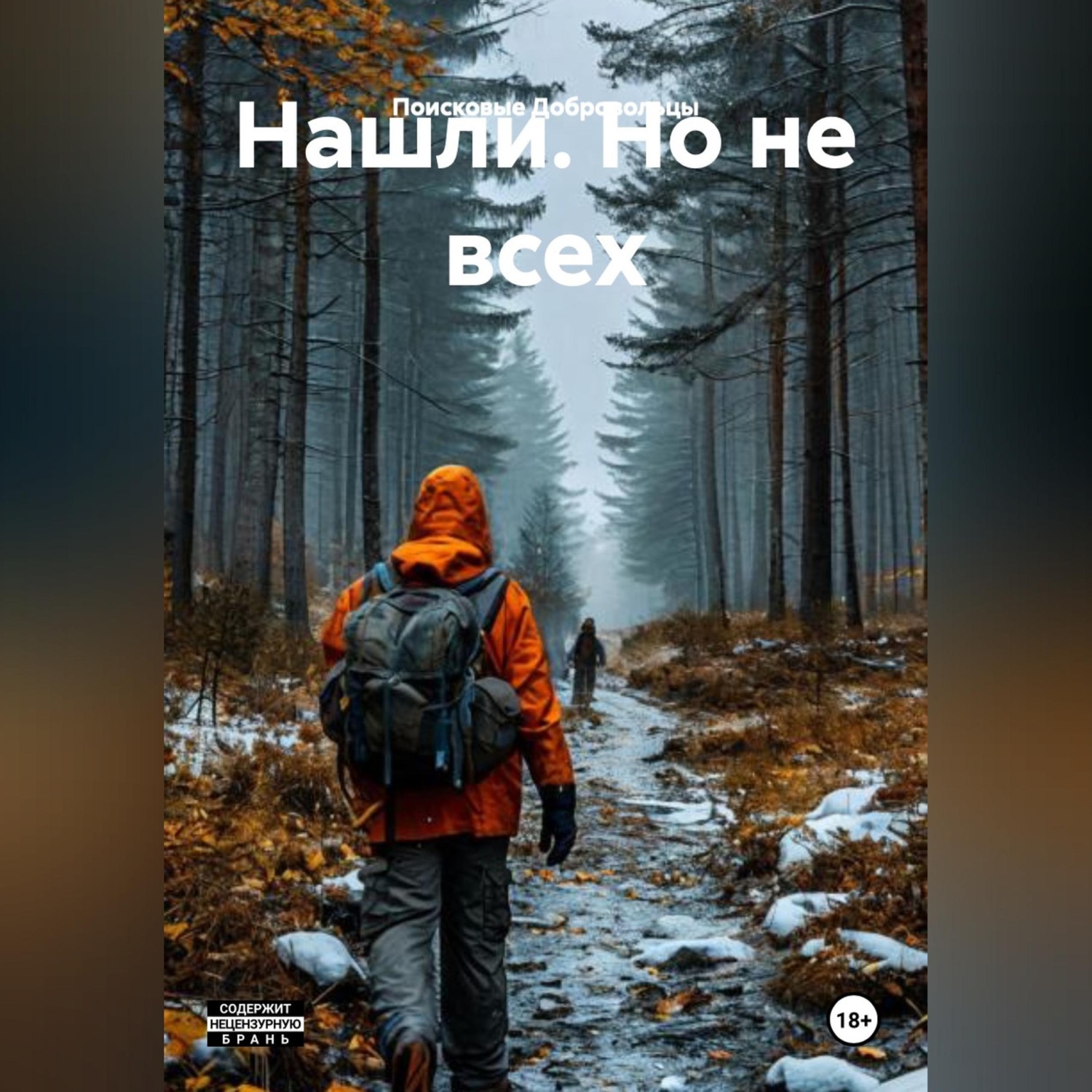 Обложка книги «Нашли. Но не всех»