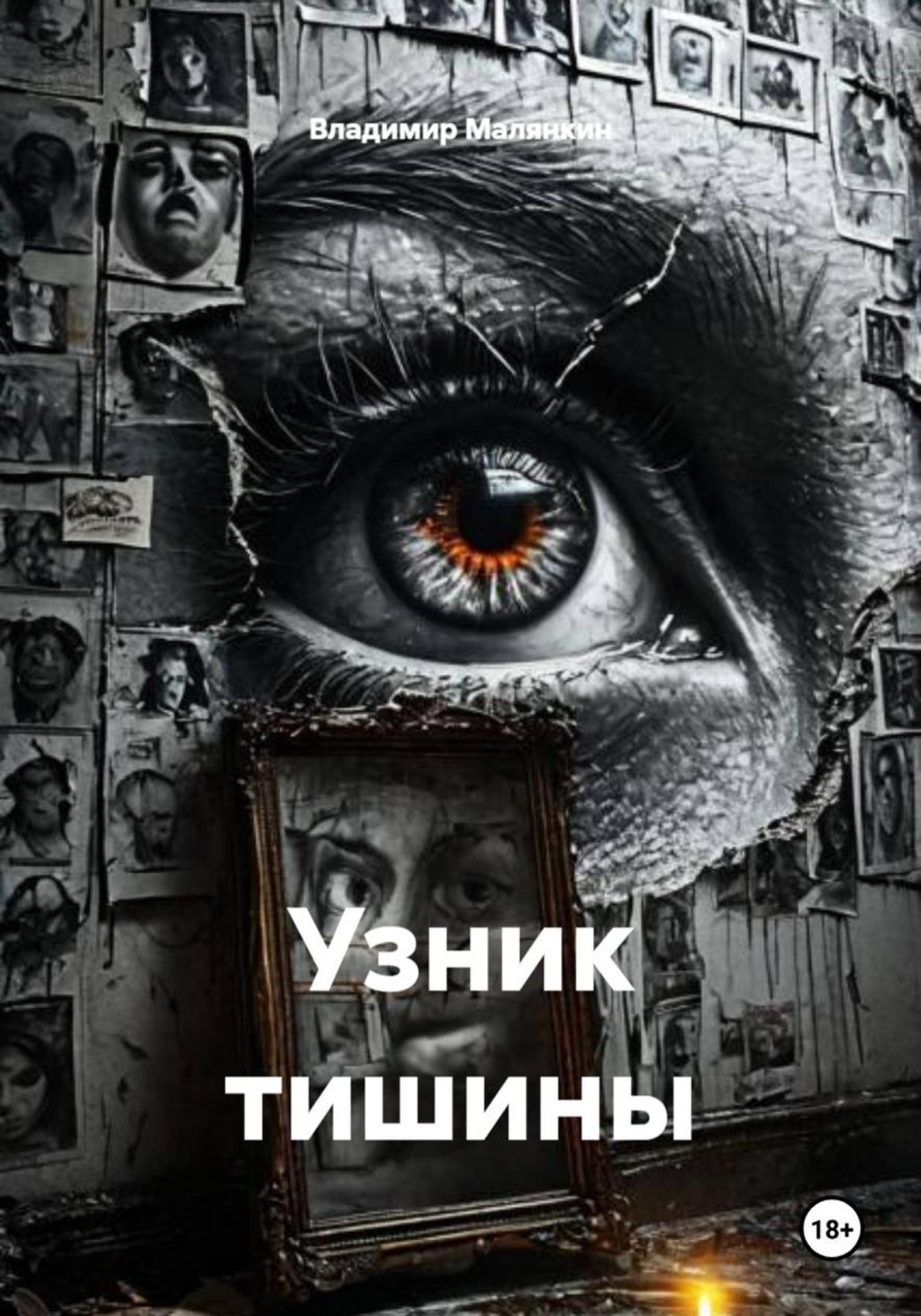 Обложка книги «Узник тишины»
