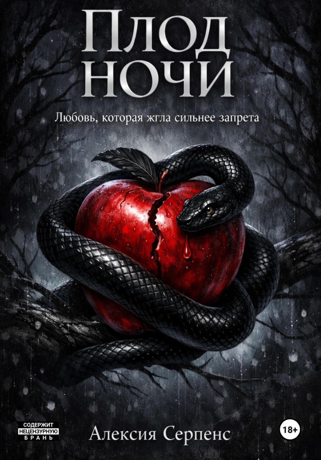 Обложка книги «Плод ночи»