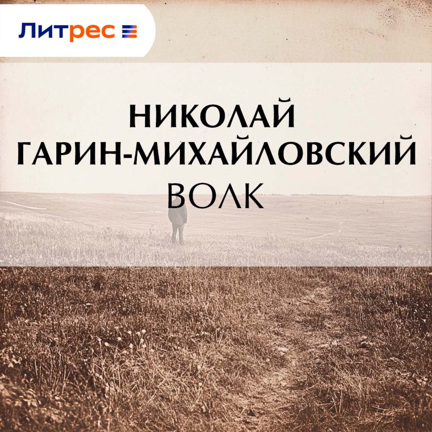 Обложка книги «Волк»