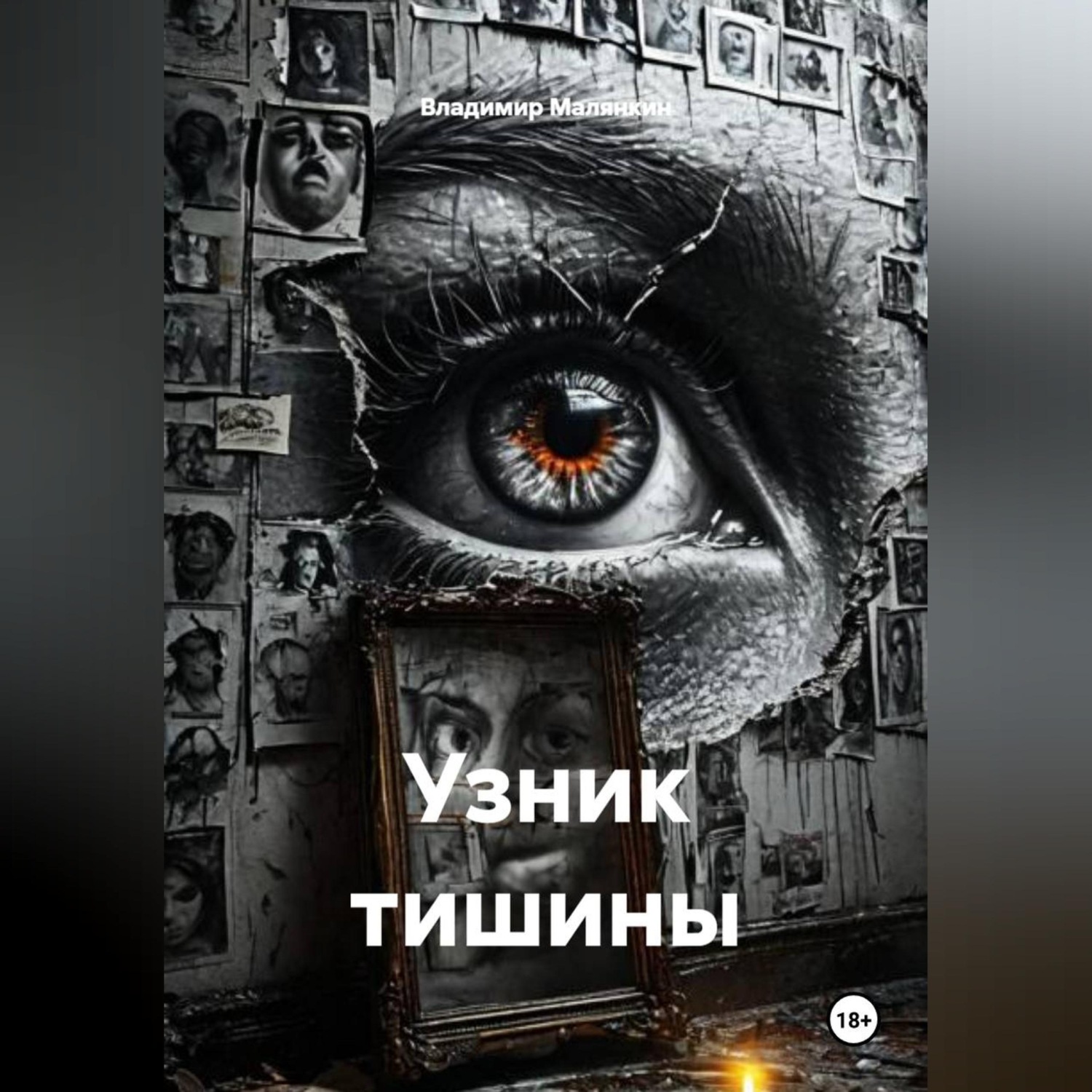 Обложка книги «Узник тишины»