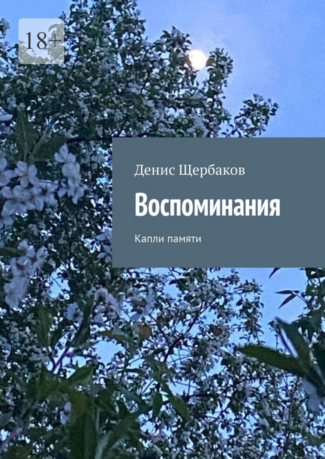 Обложка книги «Воспоминания. Капли памяти»