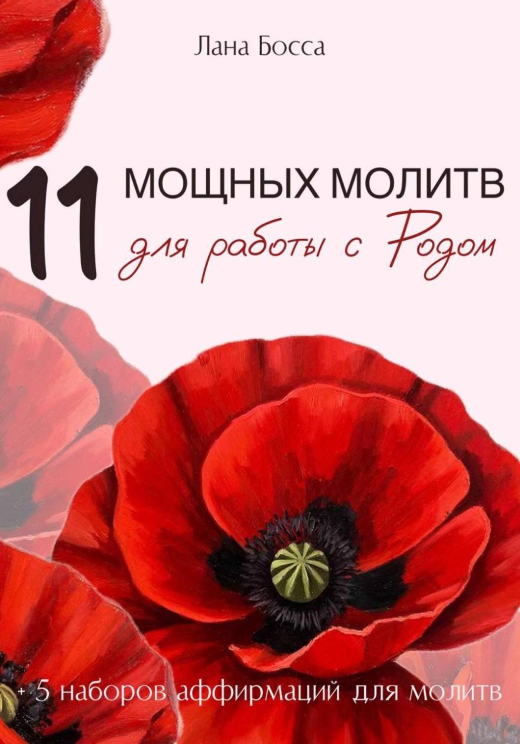 Обложка книги «11 МОЩНЫХ МОЛИТВ ДЛЯ РАБОТЫ С РОДОМ + 5 наборов аффирмаций для молитв»