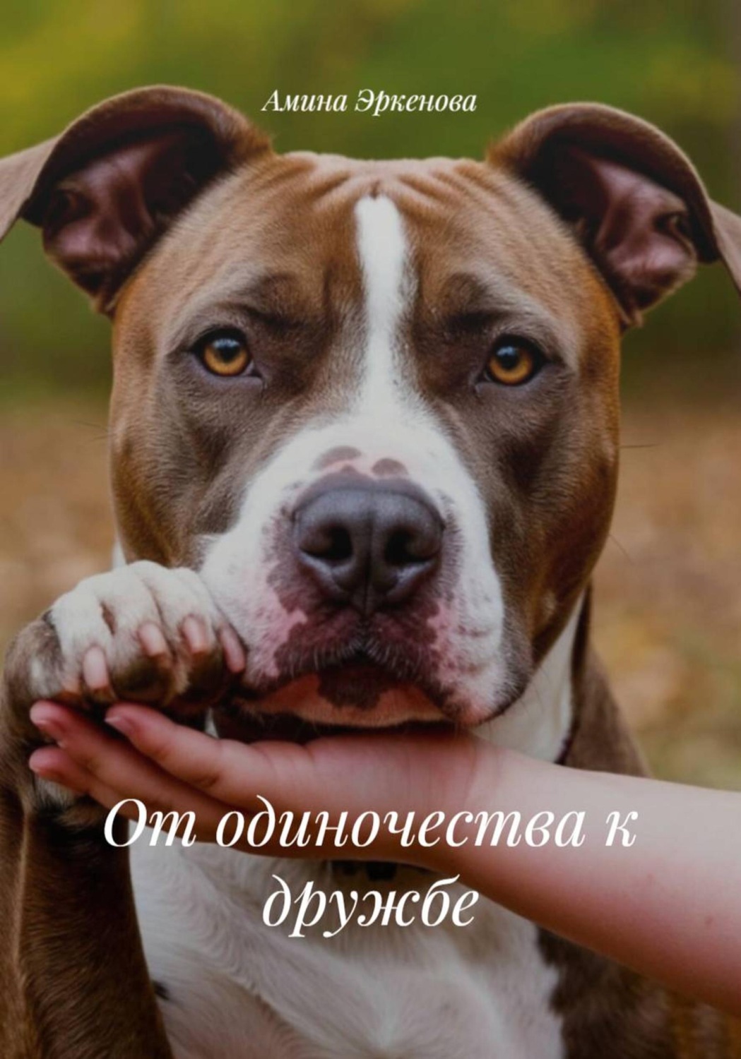 Обложка книги «От одиночества к дружбе»