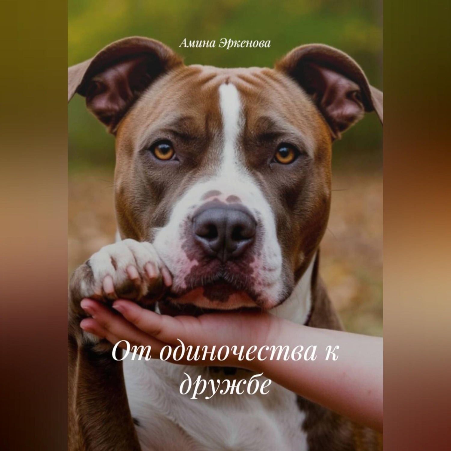Обложка книги «От одиночества к дружбе»