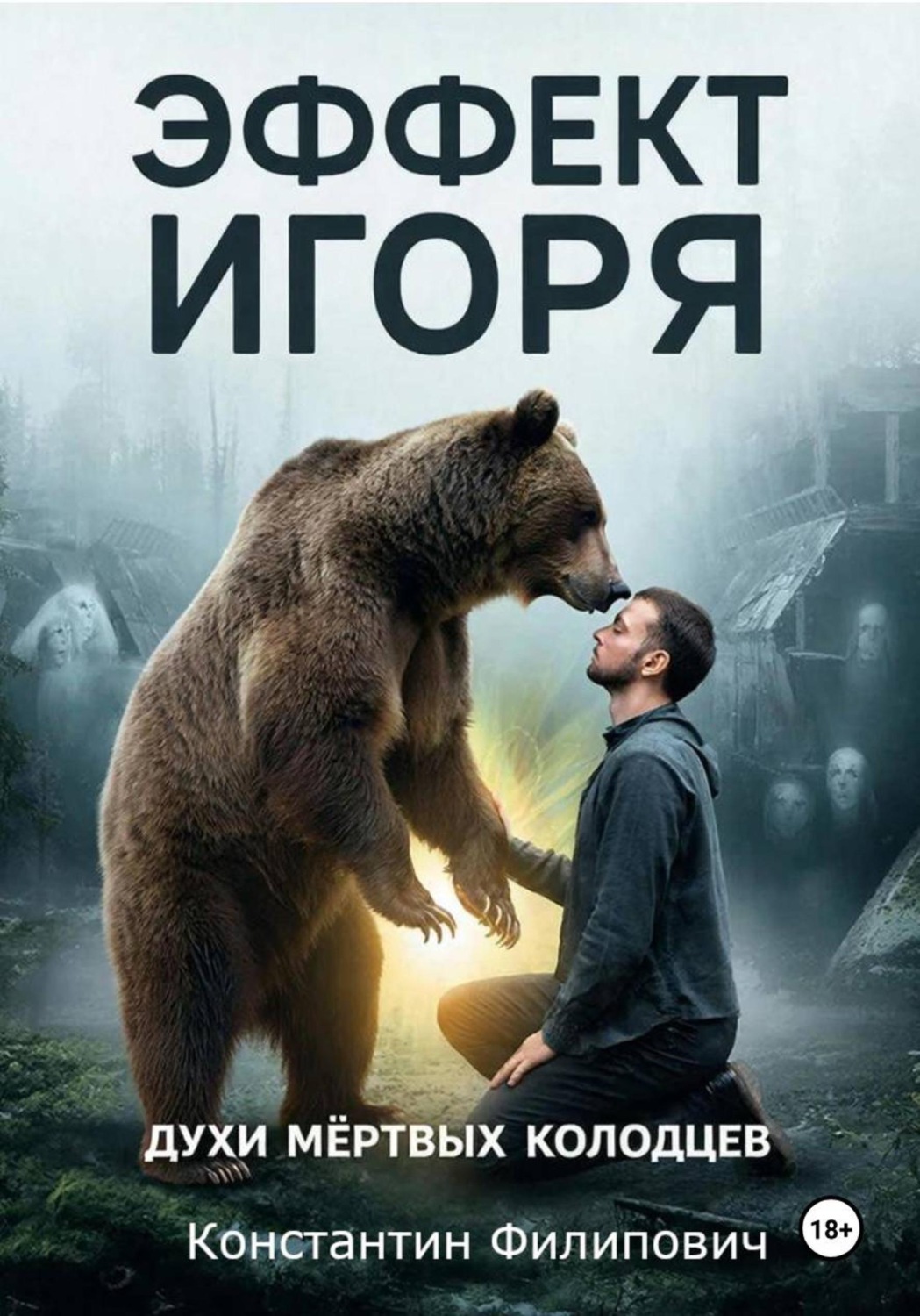 Обложка книги «Эффект Игоря. Духи мертвых колодцев»