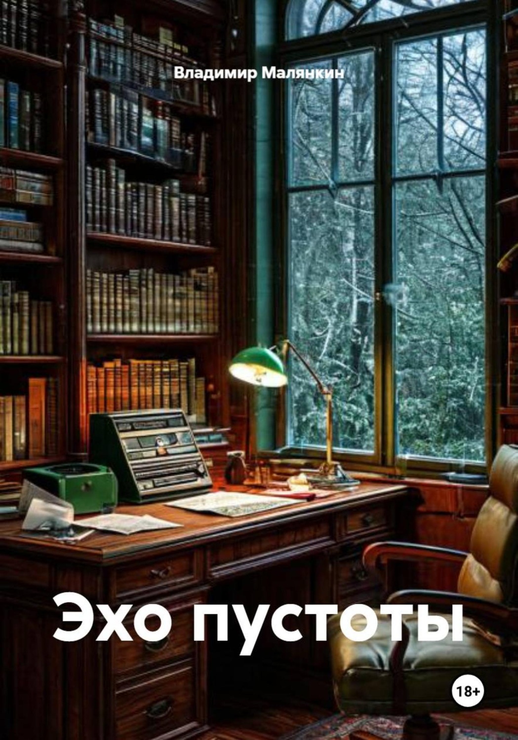 Обложка книги «Эхо пустоты»