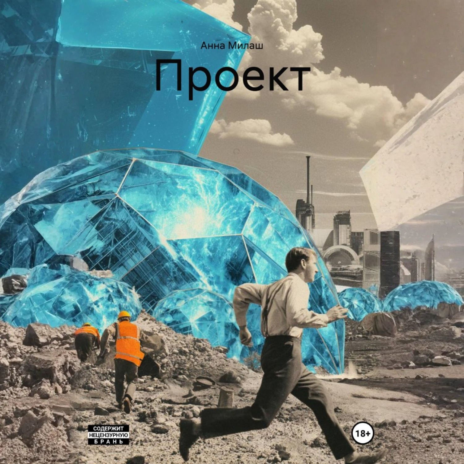 Обложка книги «Проект»