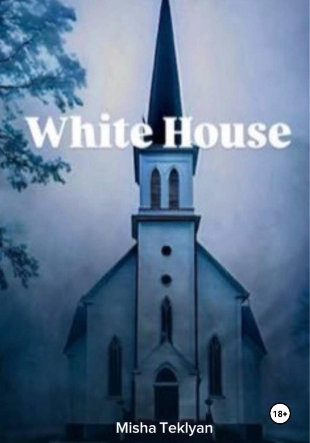 Обложка книги «White House»