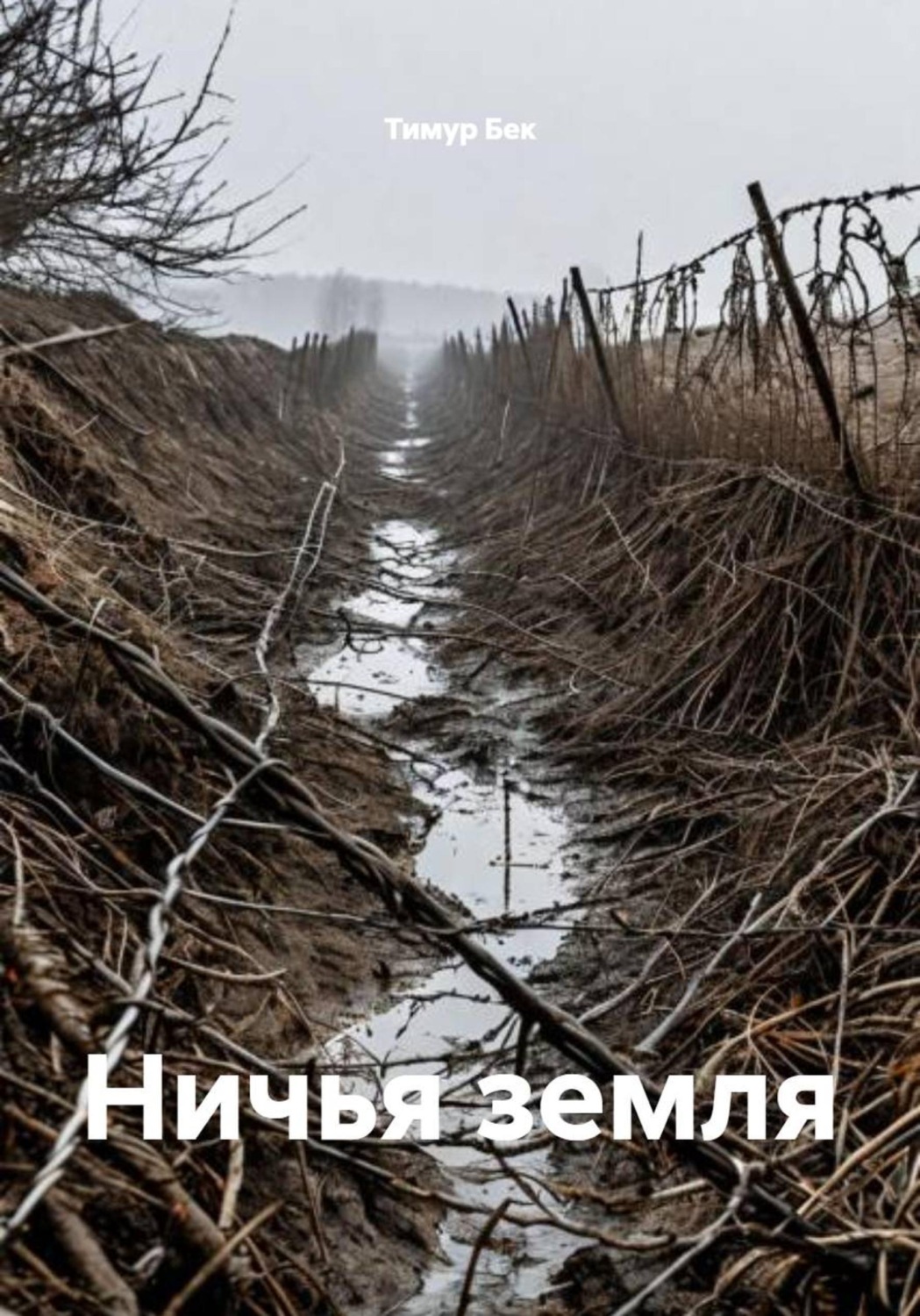 Обложка книги «Ничья земля»