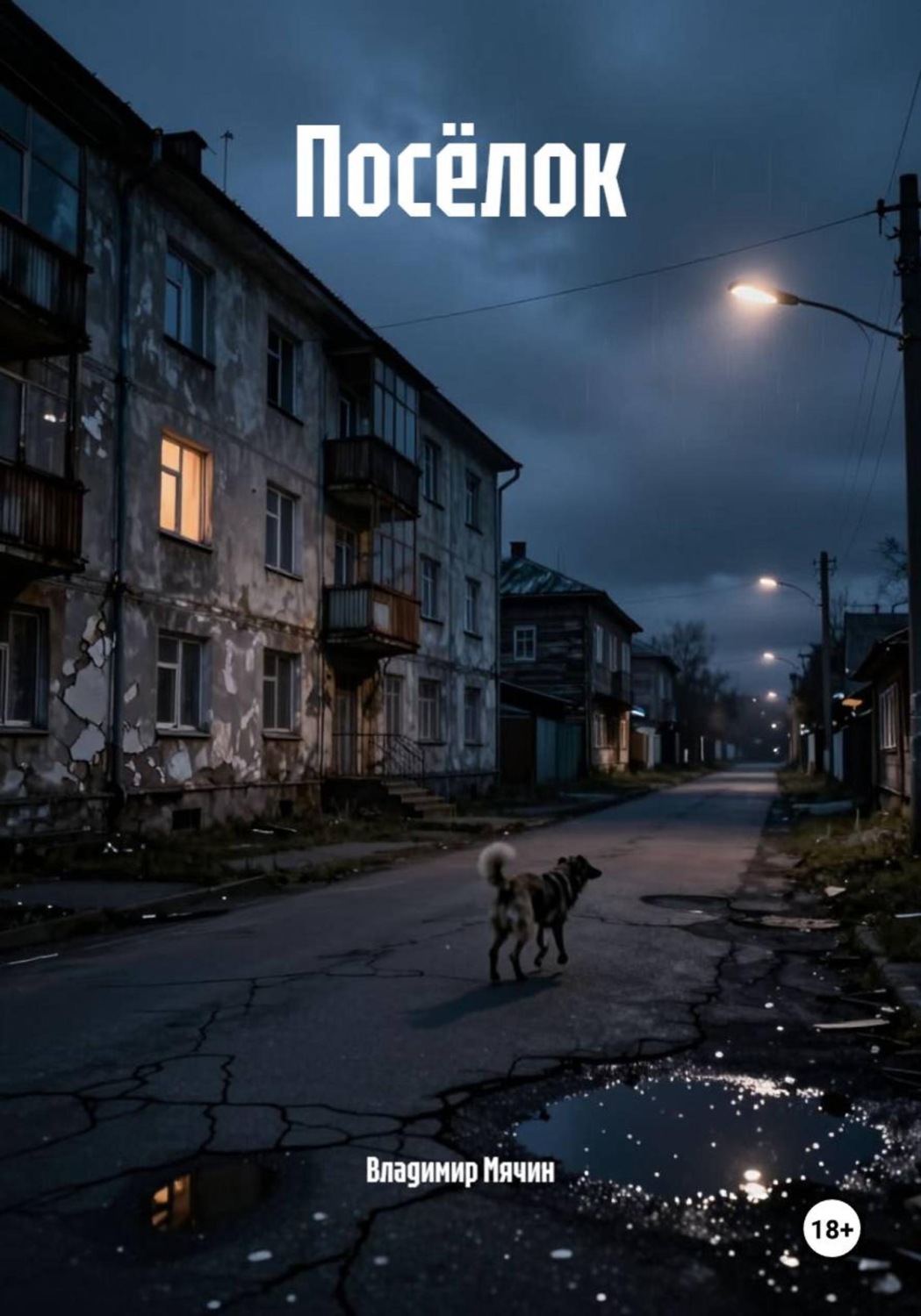 Обложка книги «Посёлок»