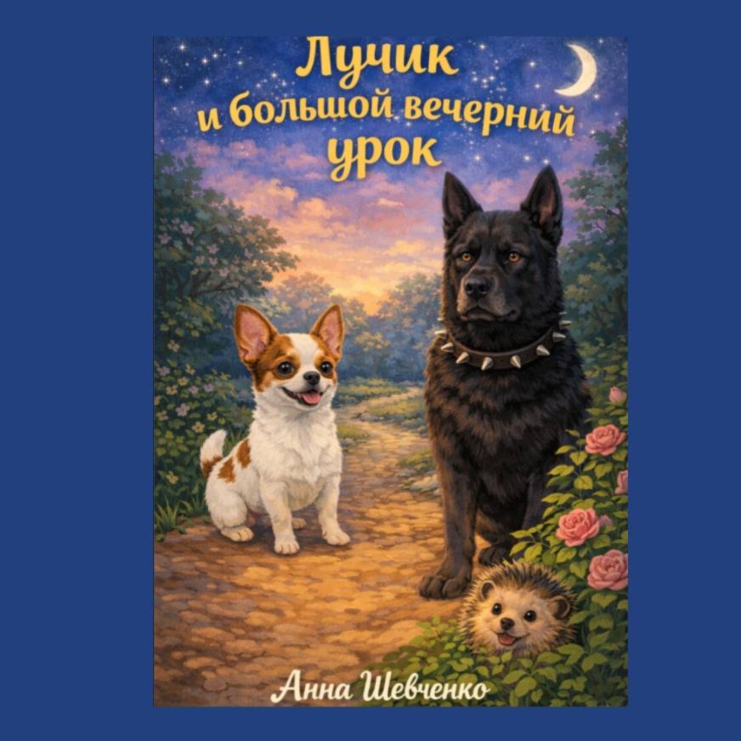 Обложка книги «Лучик и большой вечерний урок»