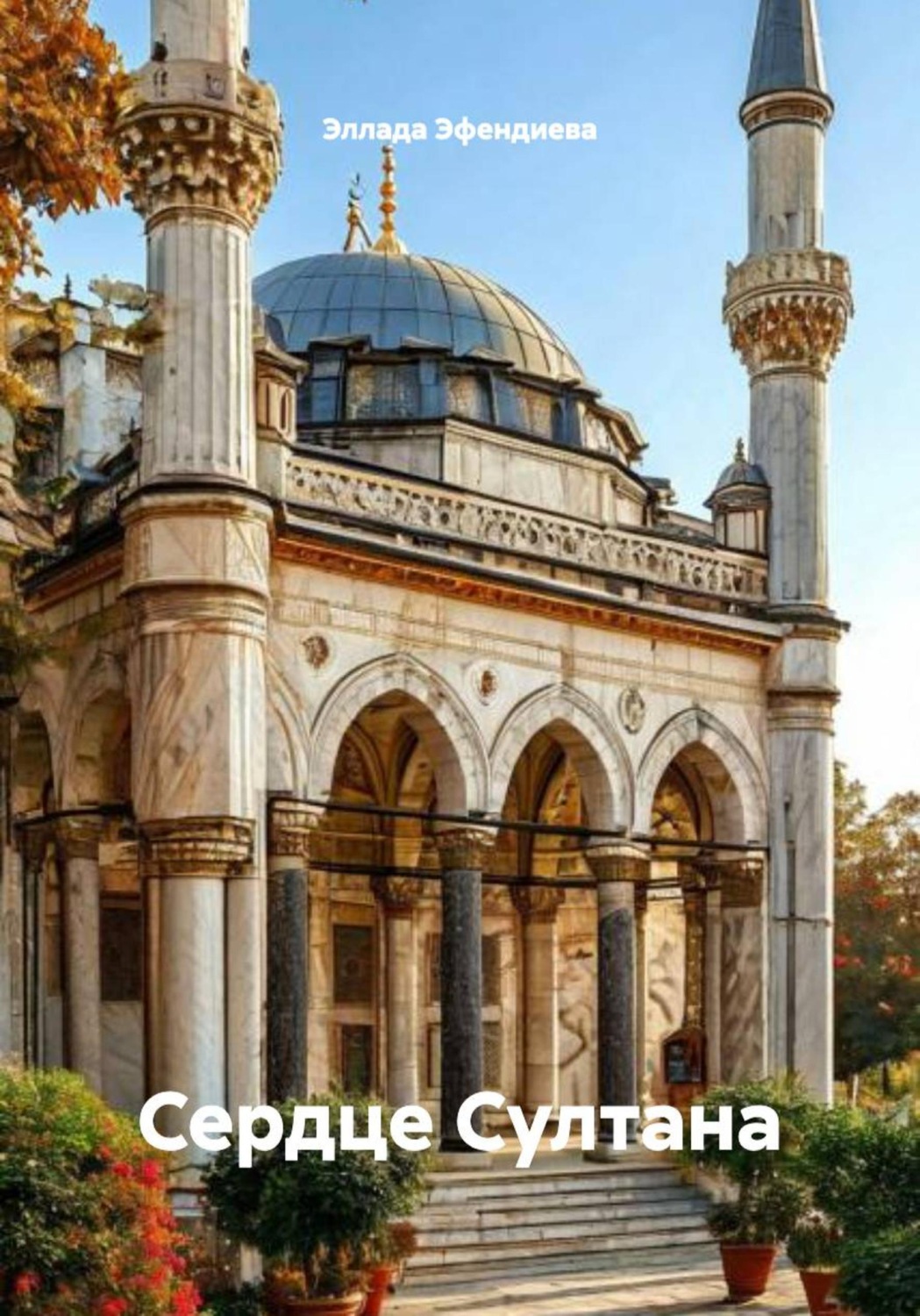 Обложка книги «Сердце Султана»