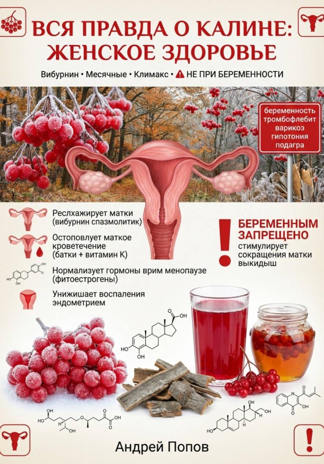 Обложка книги «Вся правда о калине: женское здоровье»