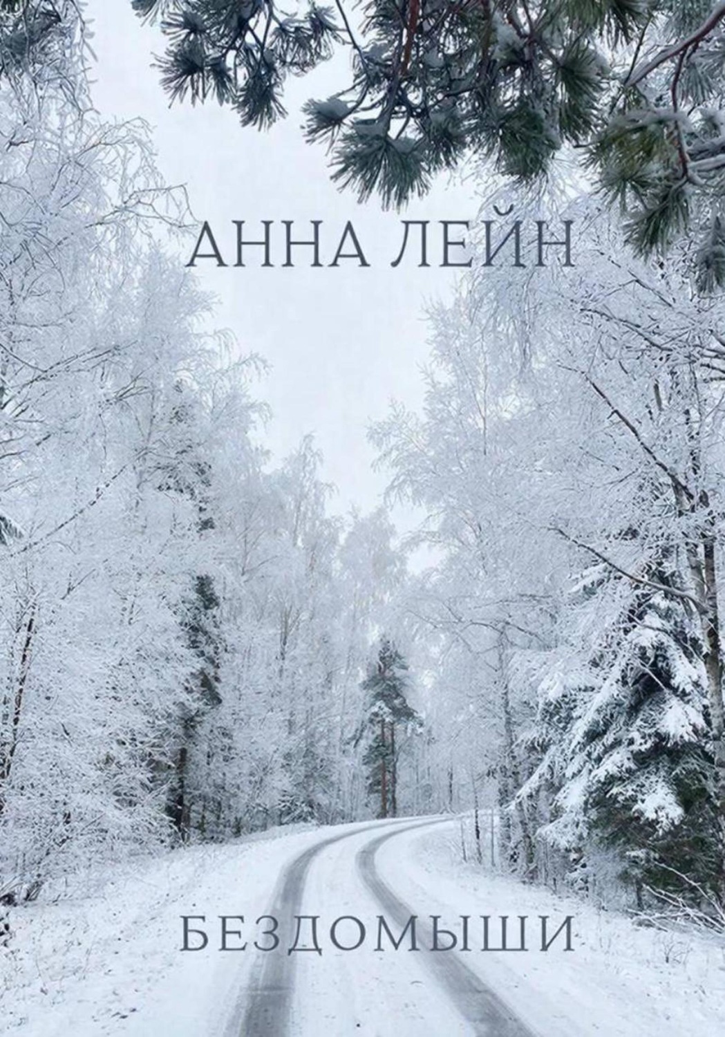 Обложка книги «Бездомыши»