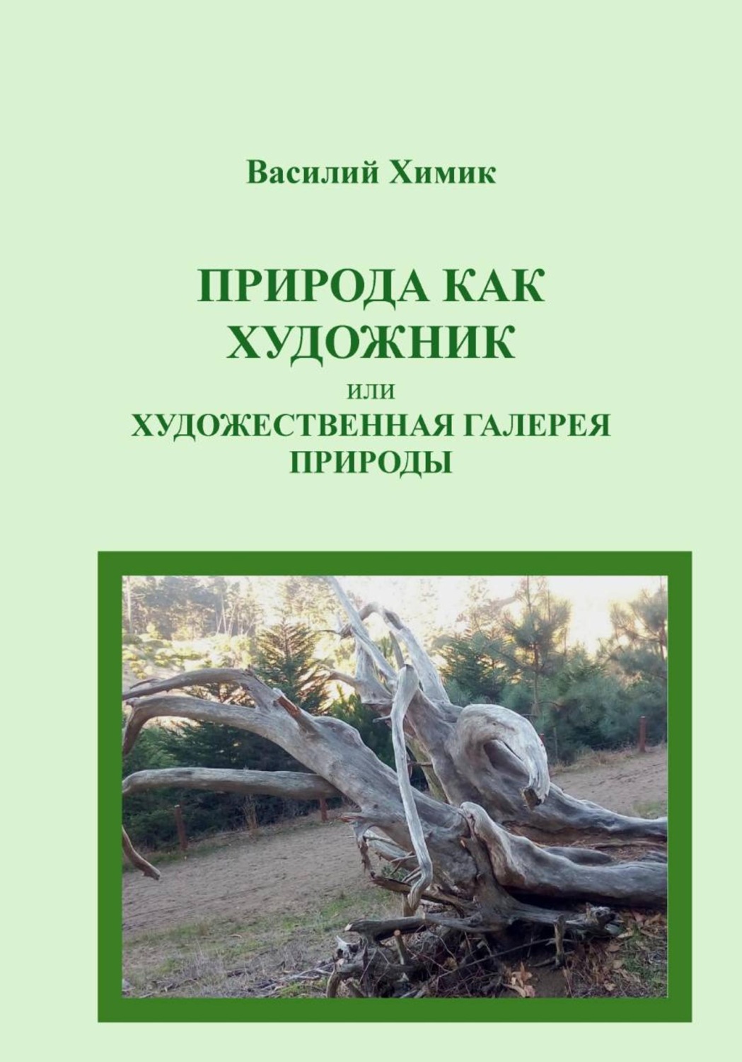 Обложка книги «Природа как художник, или Художественная галерея природы»