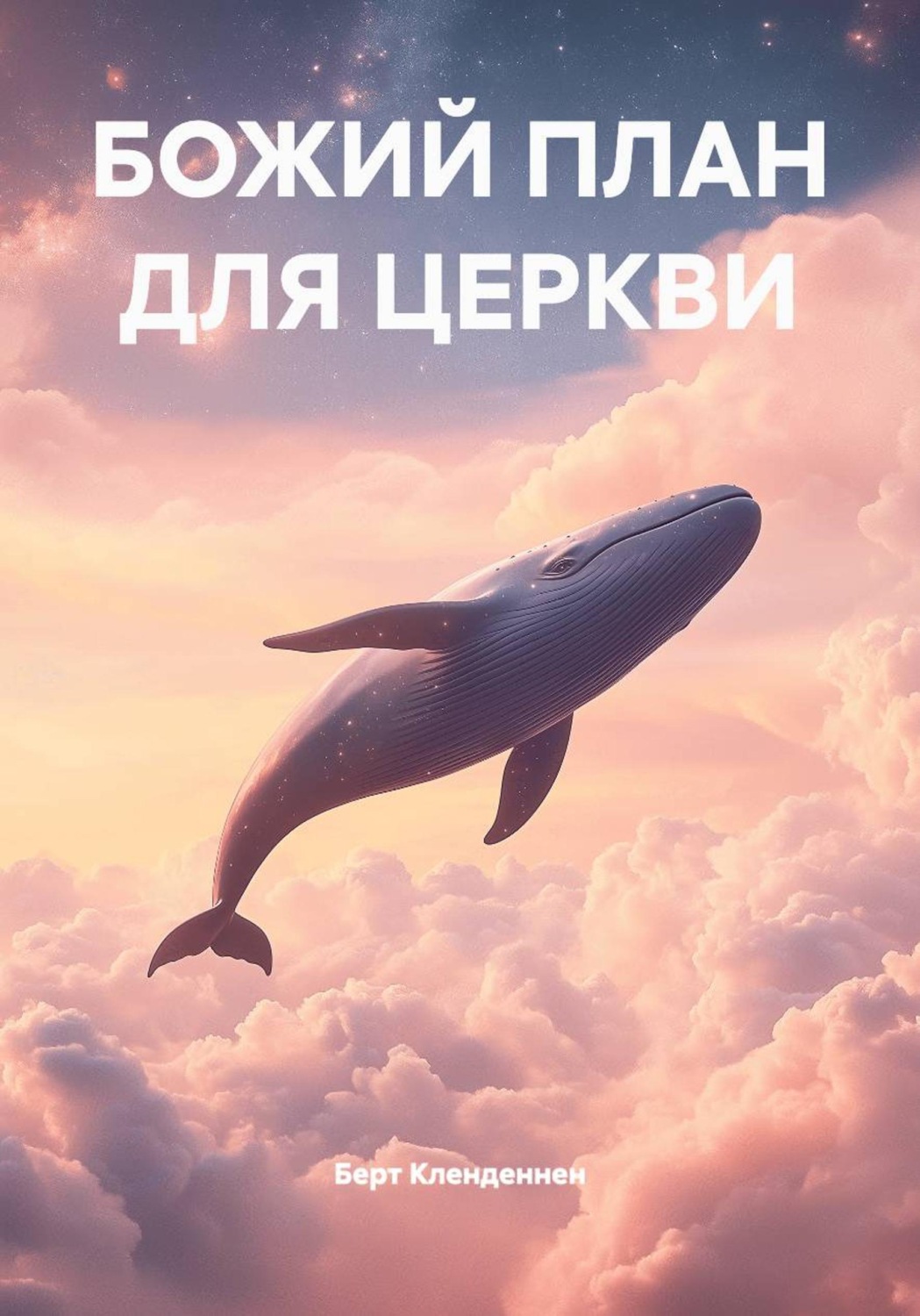 Обложка книги «БОЖИЙ ПЛАН ДЛЯ ЦЕРКВИ»
