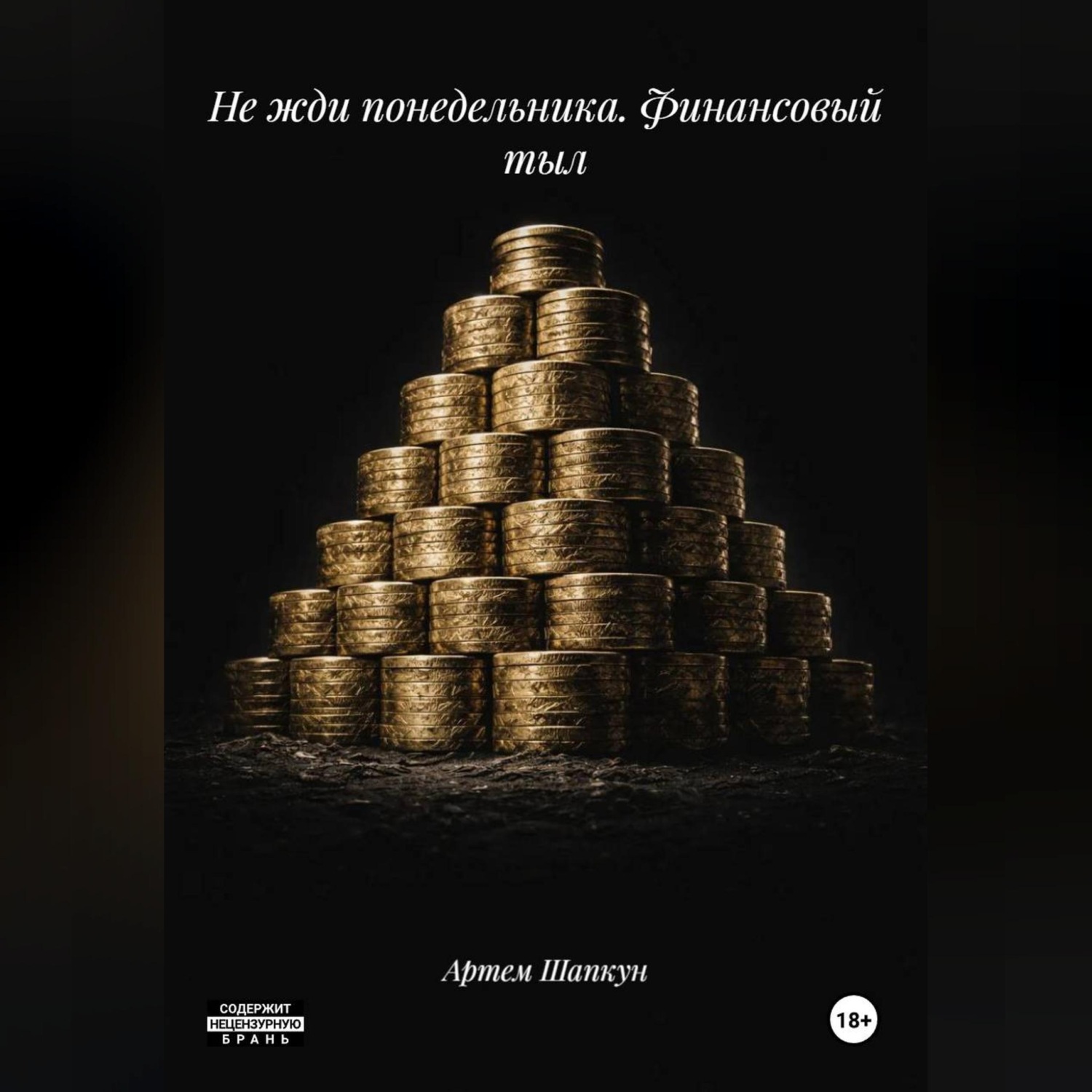 Обложка книги «Не жди понедельника.Финансовый тыл»