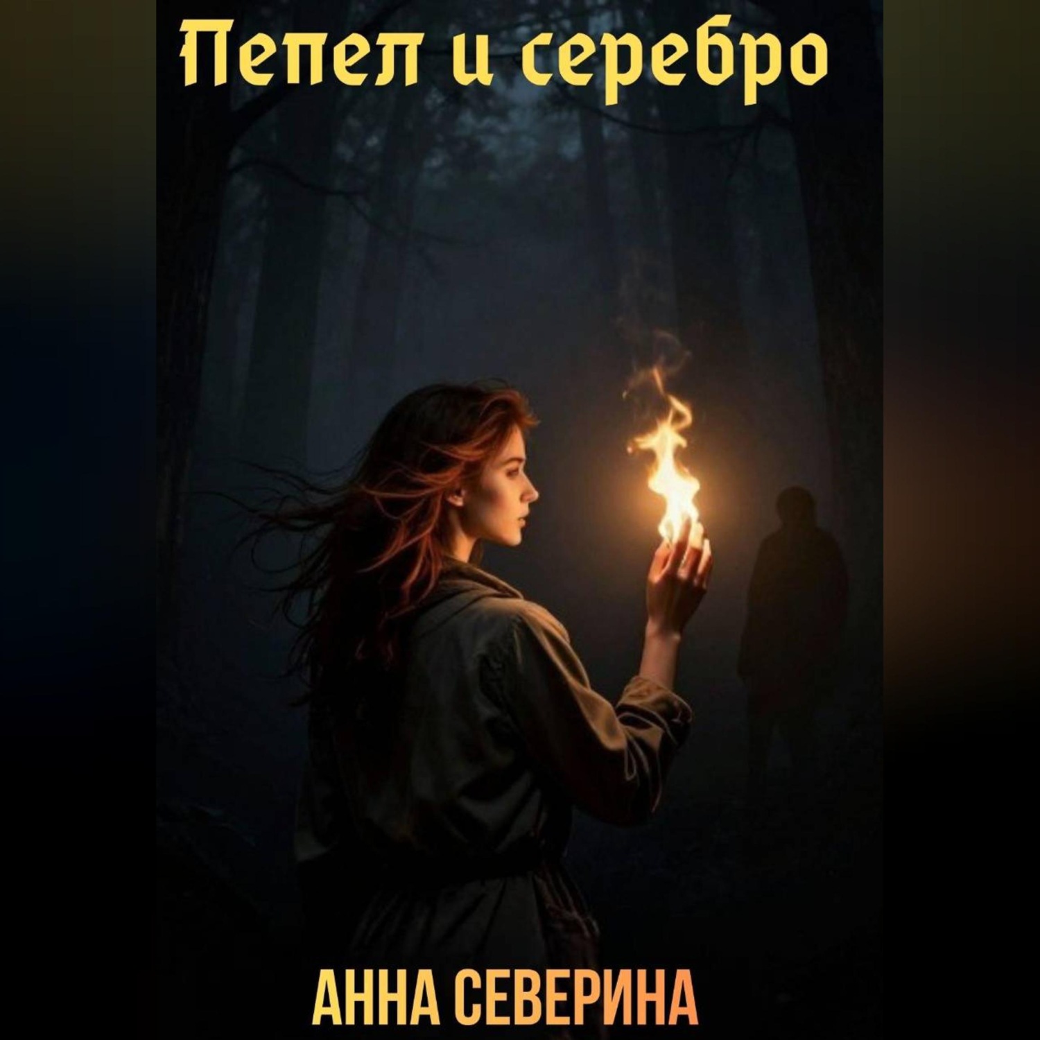 Обложка книги «Пепел и серебро»