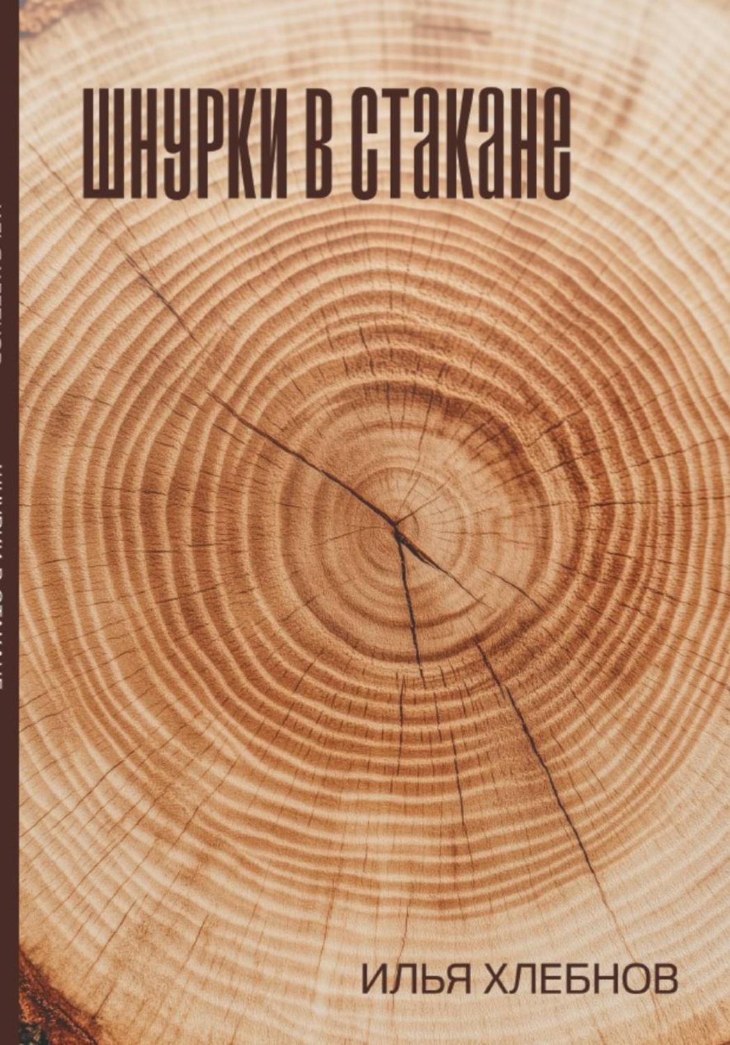 Обложка книги «Шнурки в стакане»