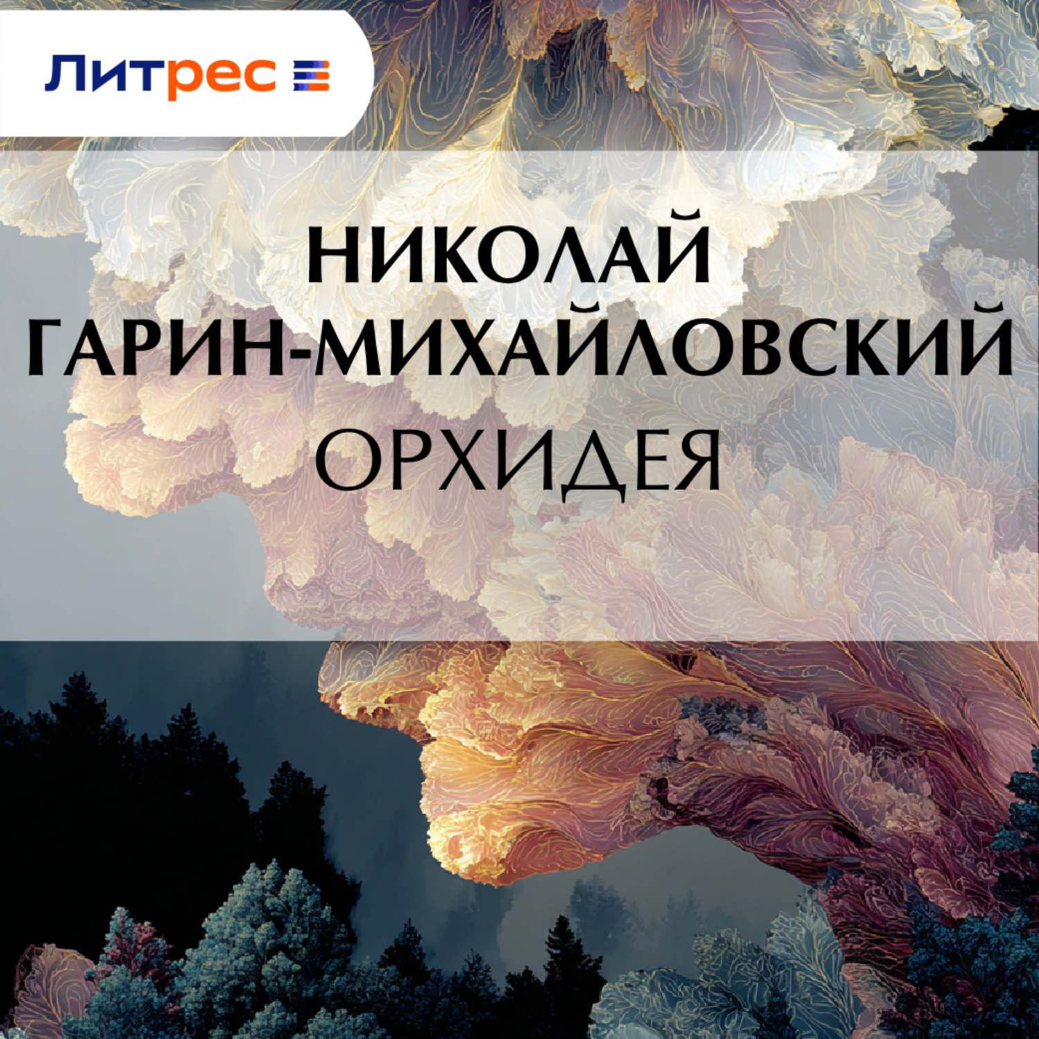 Обложка книги «Орхидея»