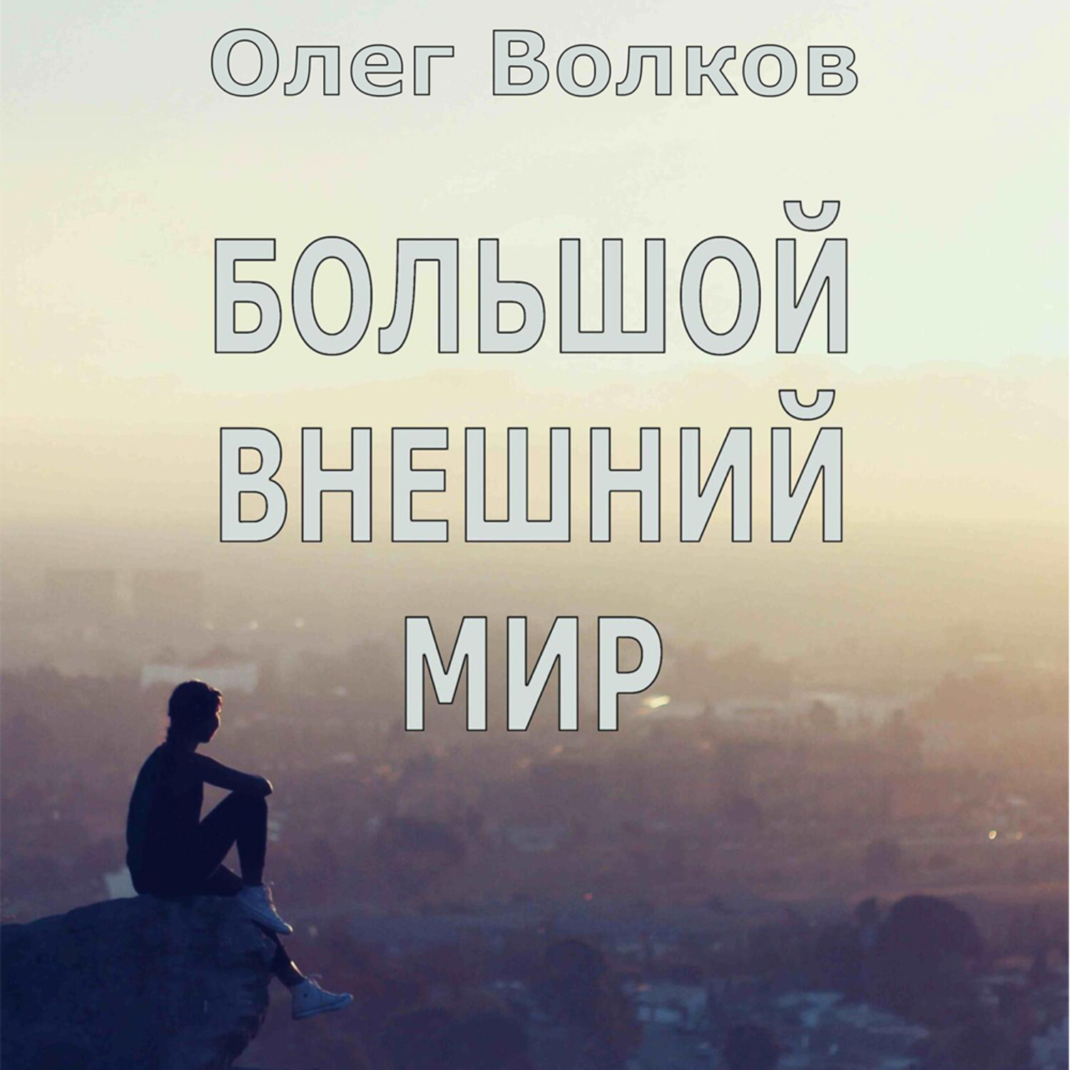 Обложка книги «Большой внешний мир»