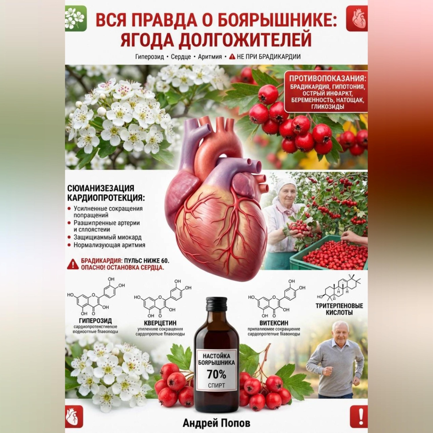 Обложка книги «Вся правда о боярышнике: ягода долгожителей»