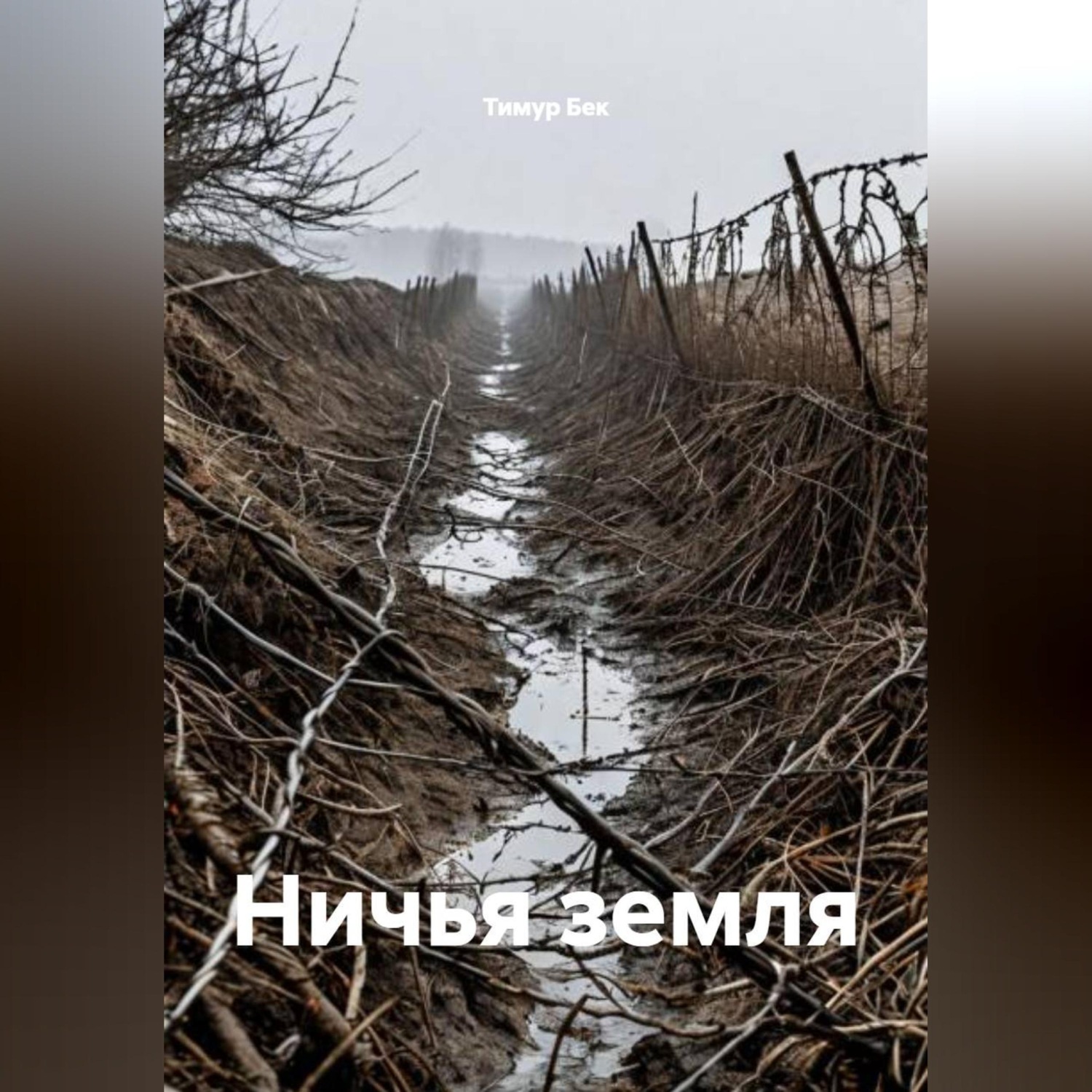 Обложка книги «Ничья земля»