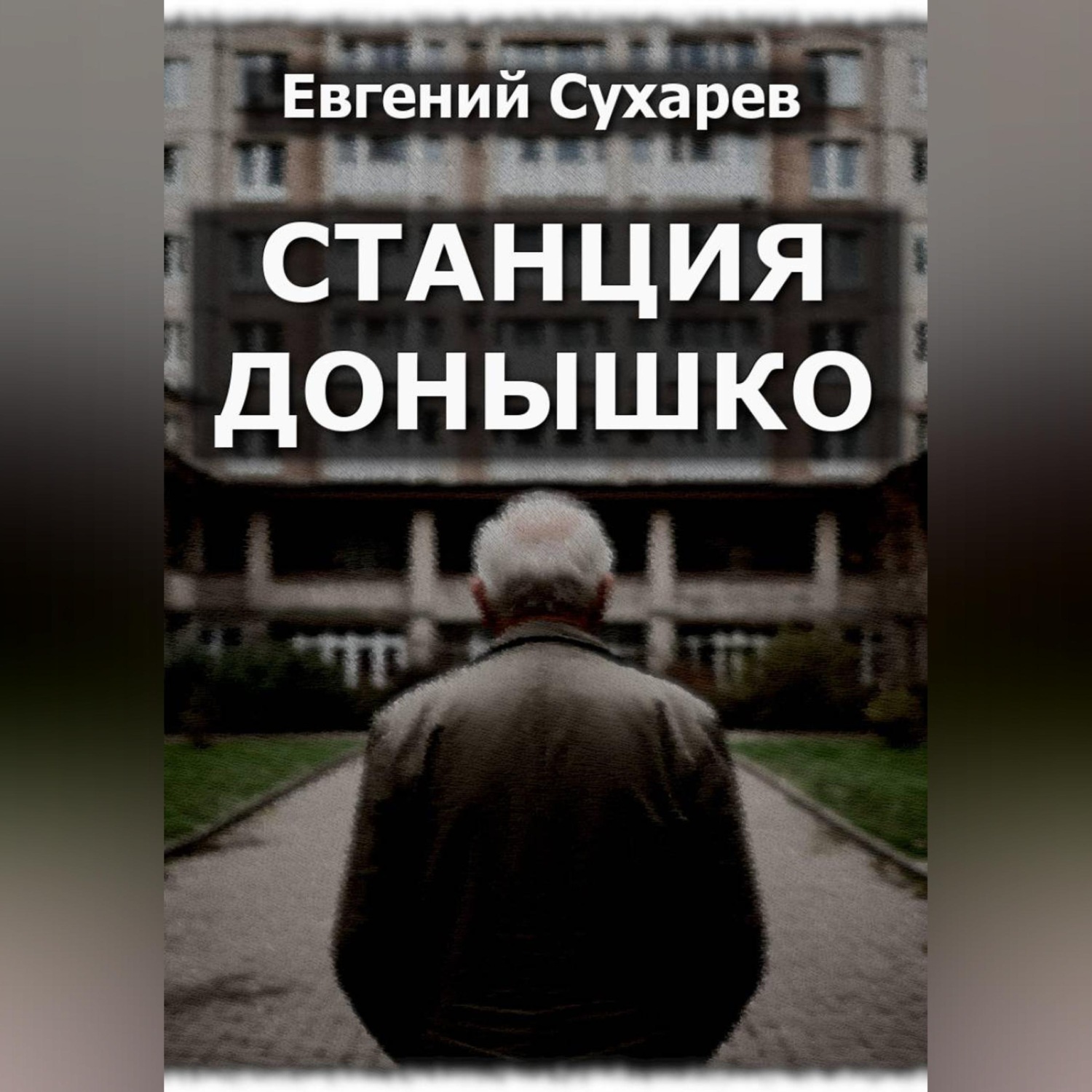 Обложка книги «Станция Донышко»