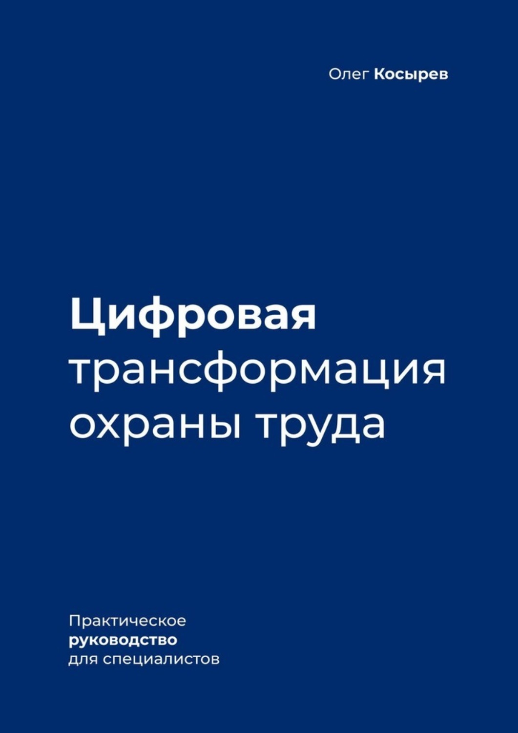 Обложка книги «Цифровая трансформация охраны труда. Практическое руководство для специалистов»