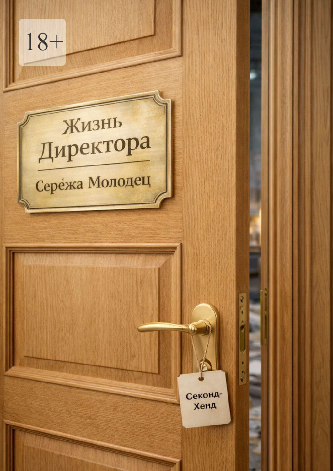 Обложка книги «Жизнь Директора»