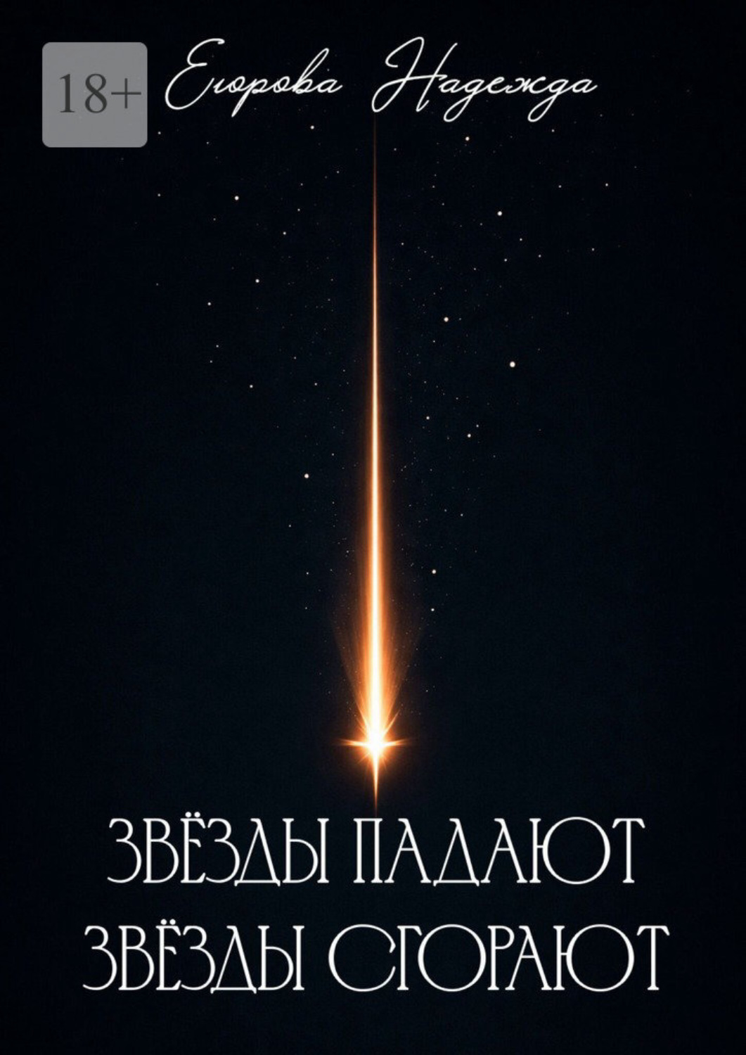 Обложка книги «Звёзды падают, звёзды сгорают»