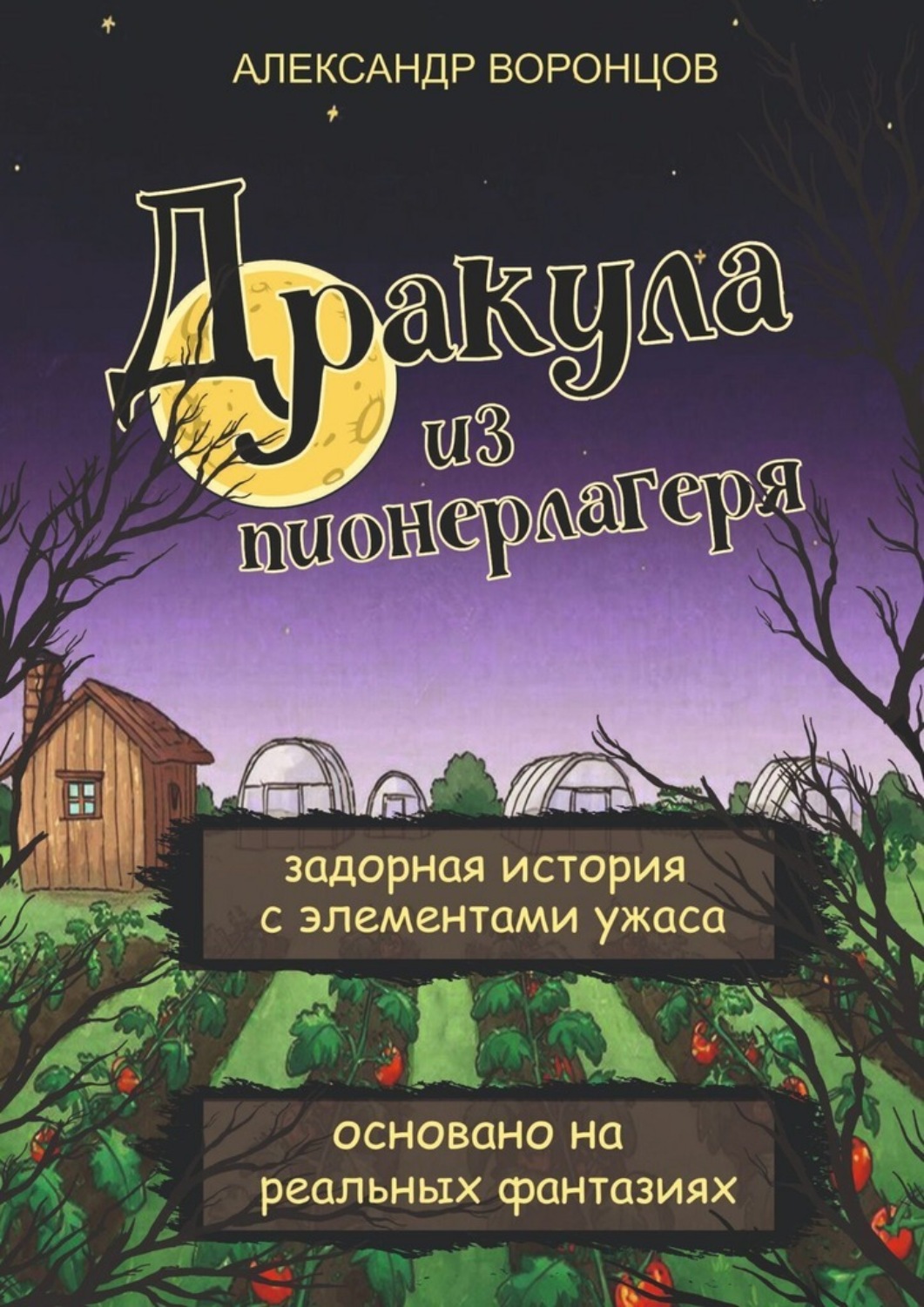 Обложка книги «Дракула из пионерлагеря. Задорная история с элементами ужаса. Основано на реальных фантазиях.»
