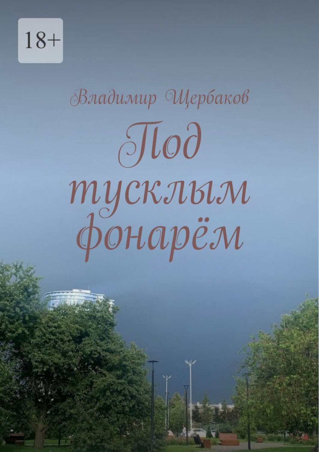 Обложка книги «Под тусклым фонарём»