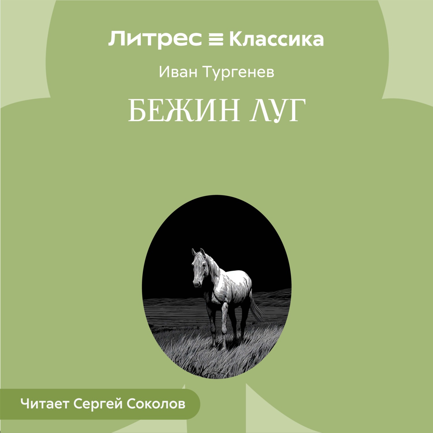 Обложка книги «Бежин луг»