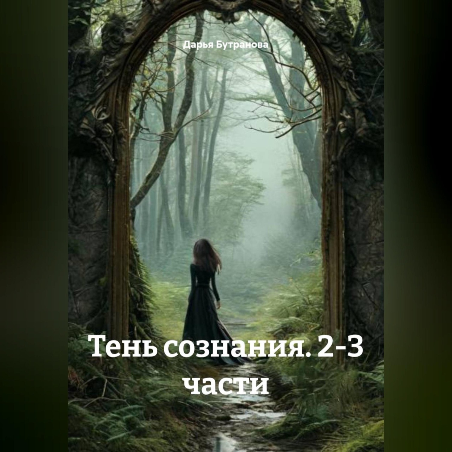 Обложка книги «Тень сознания 2-3 часть»