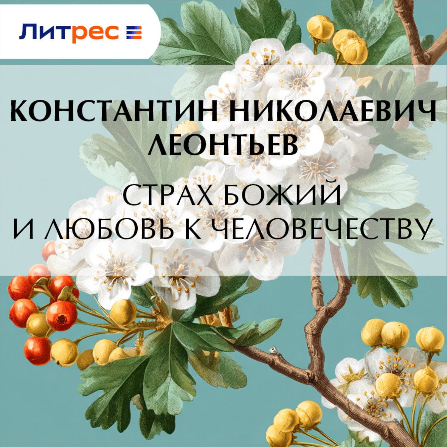 Обложка книги «Страх Божий и любовь к человечеству»