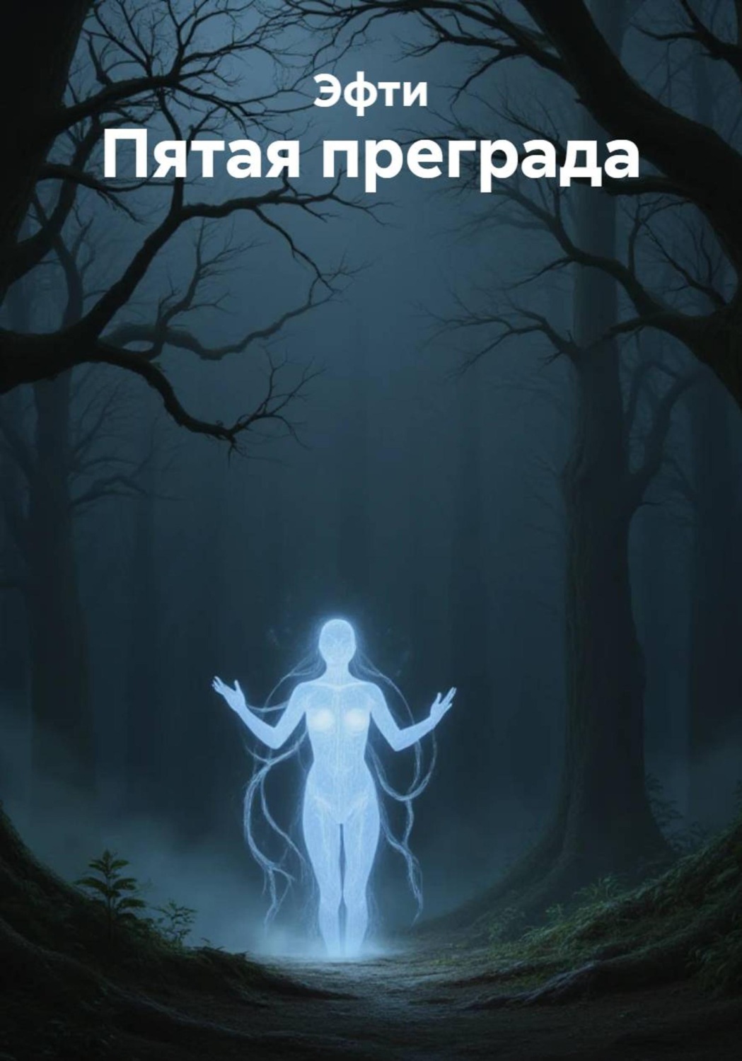 Обложка книги «Пятая преграда»