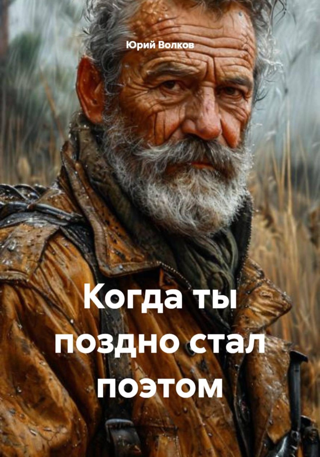 Обложка книги «Когда ты поздно стал поэтом»